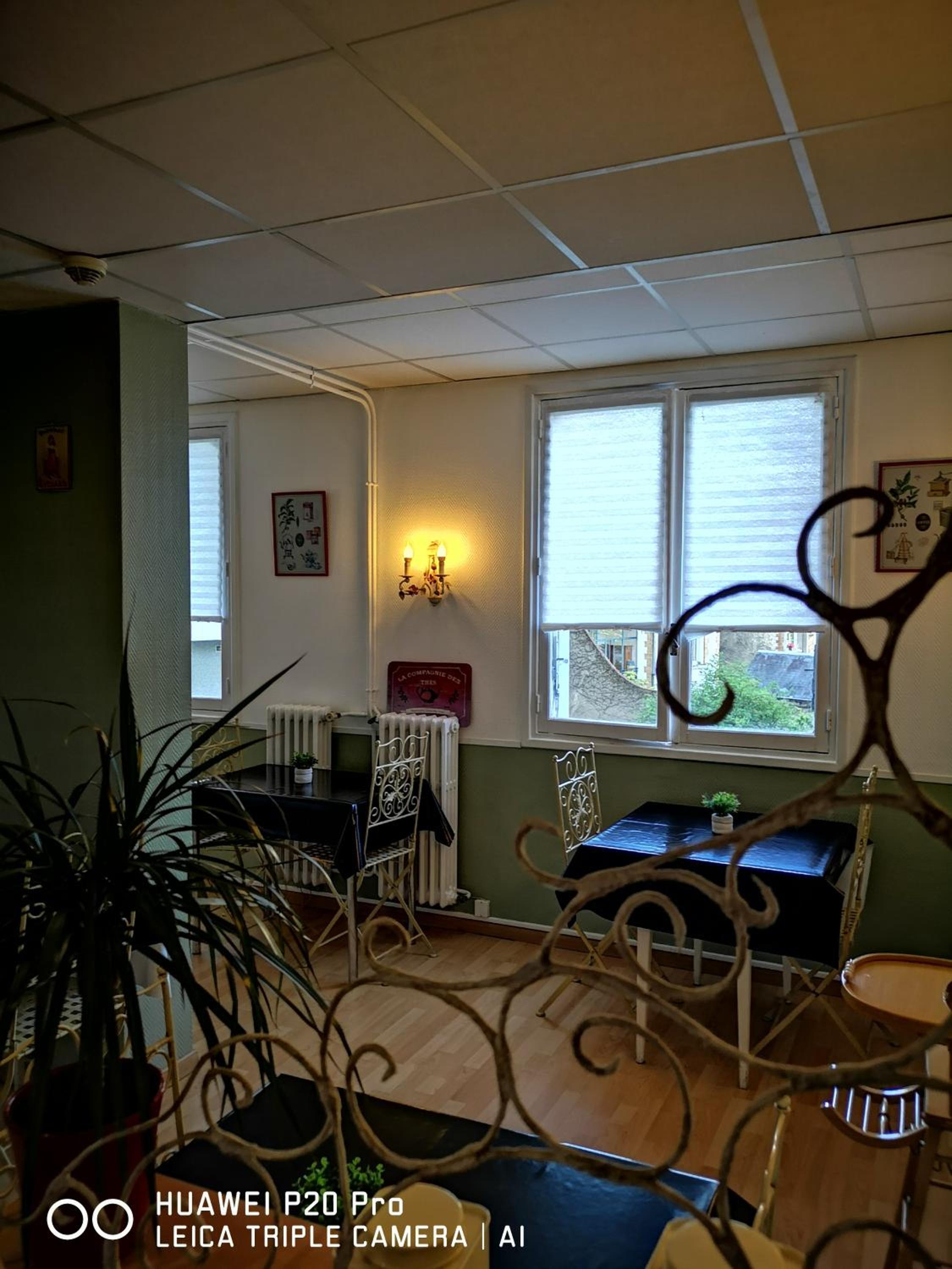 Family Room photo 2