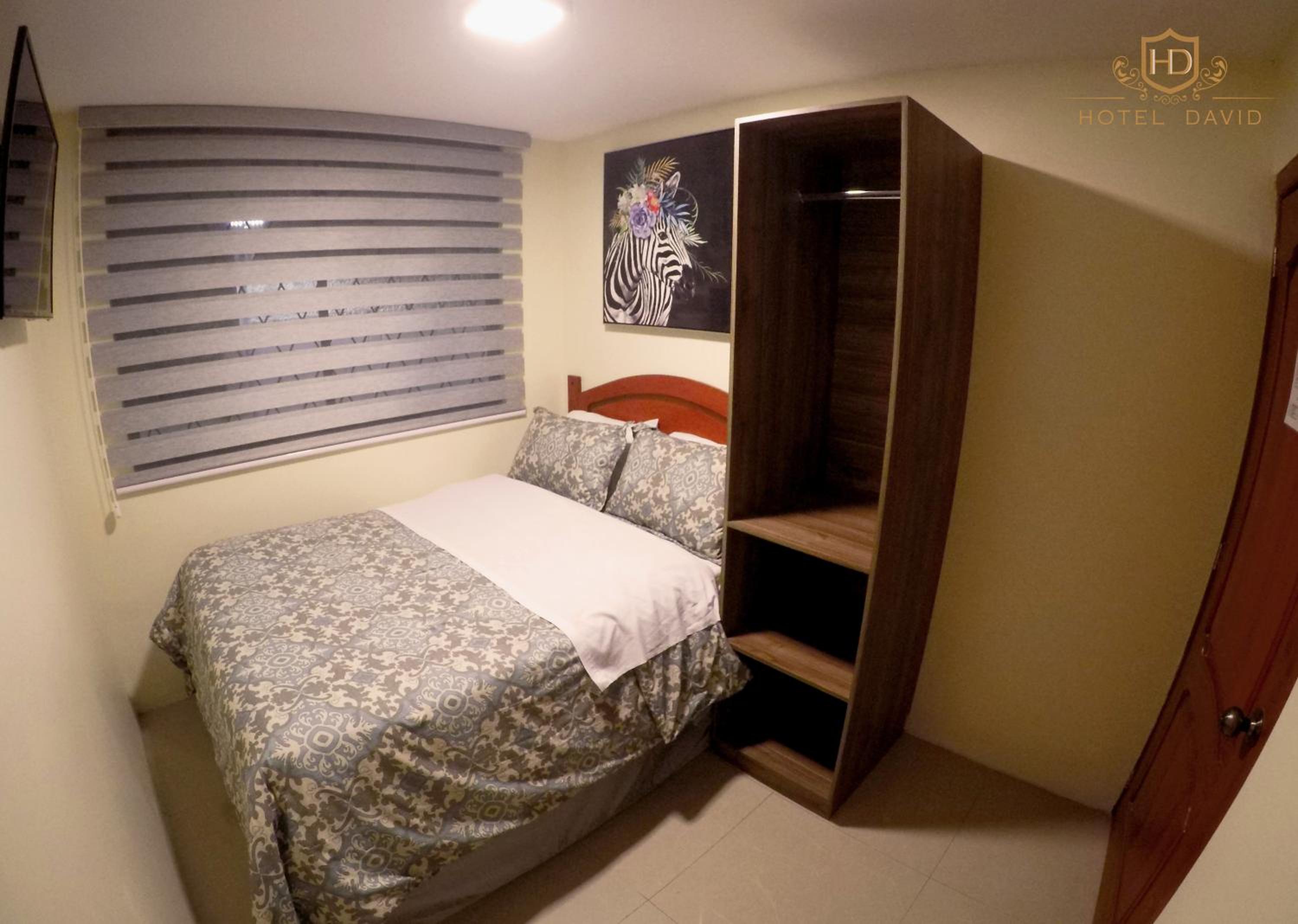 Hotel David — photo 99
