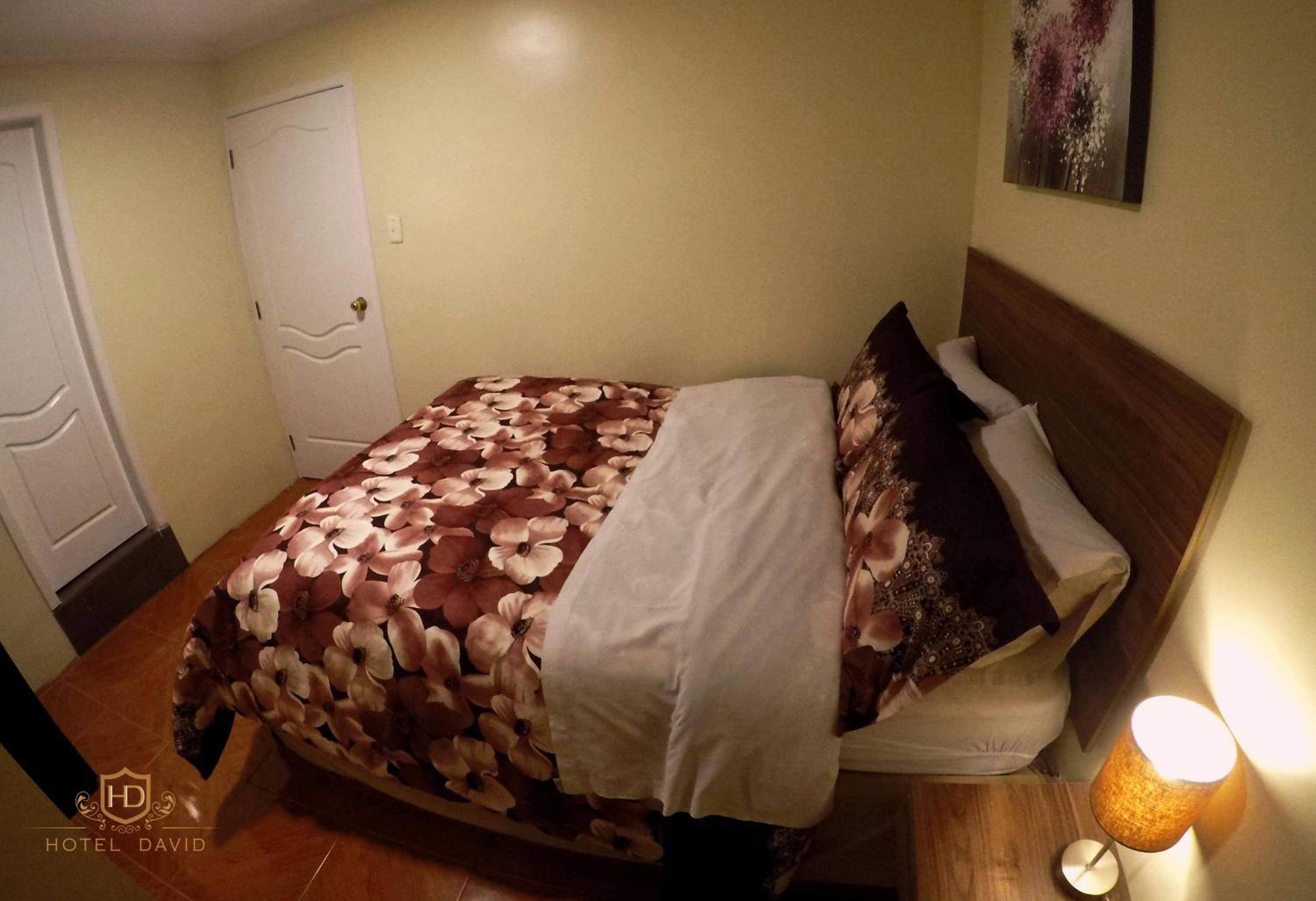 Hotel David — photo 101