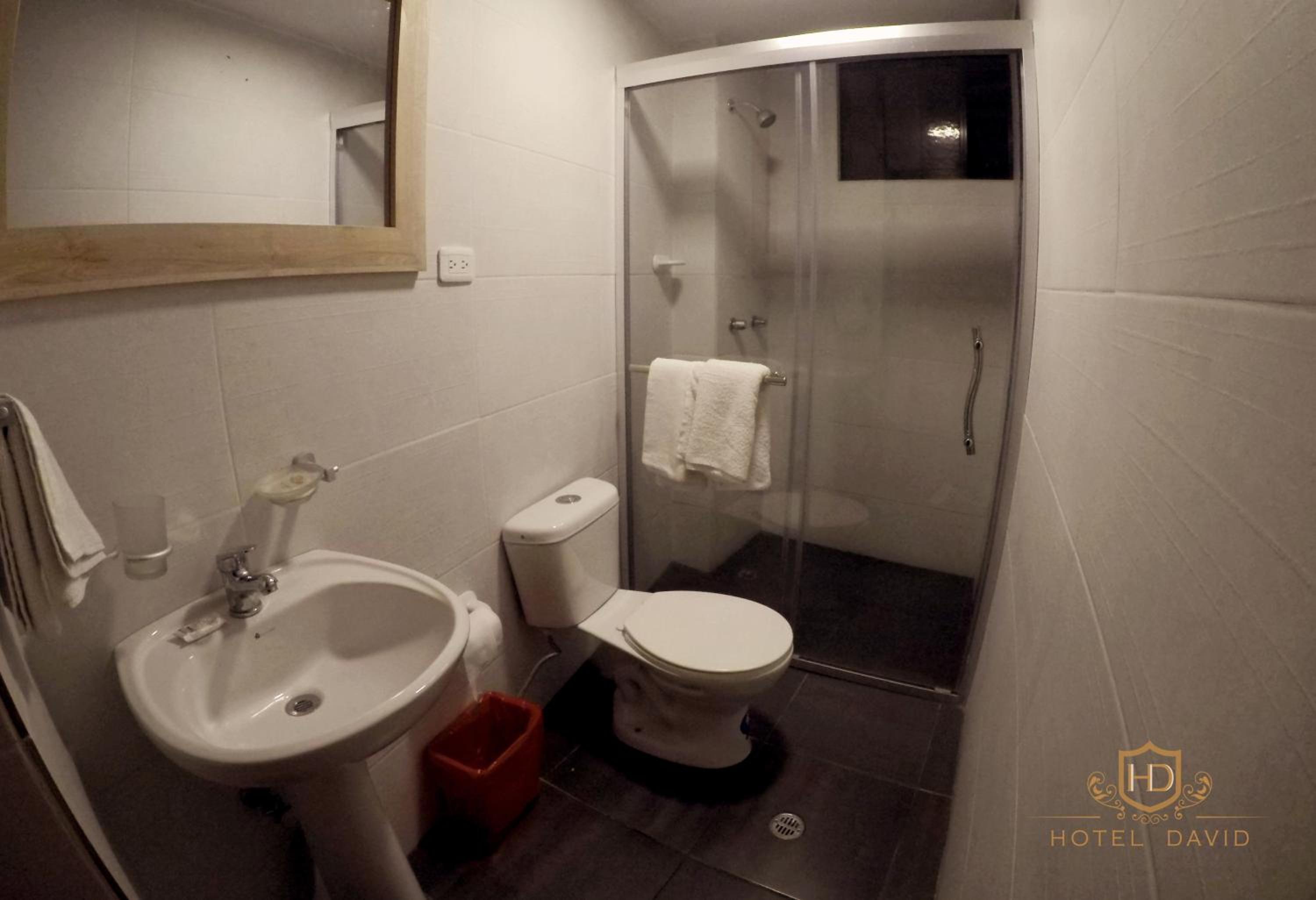 Hotel David — photo 102