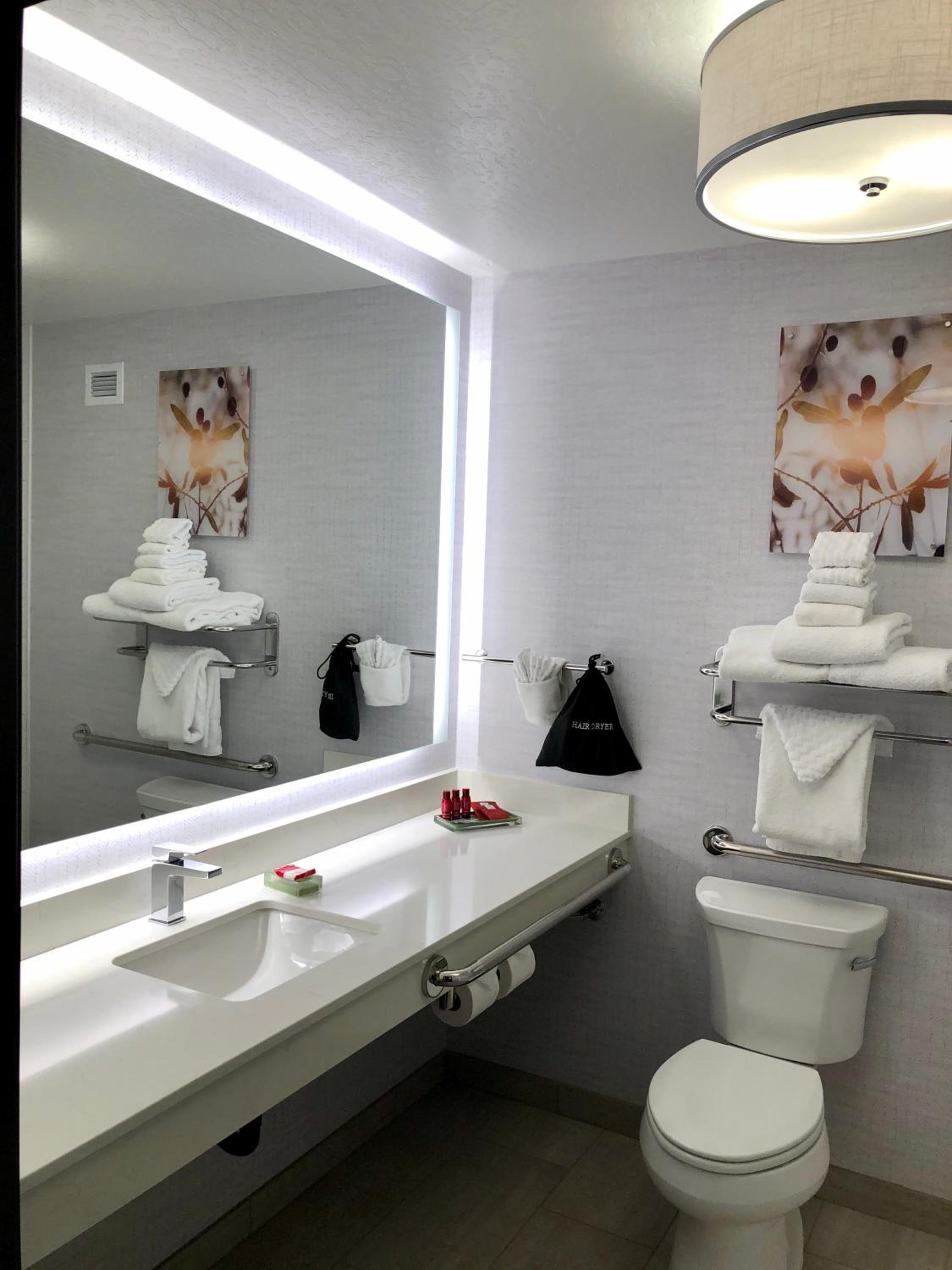 King Room with Roll-In Shower - Mobility Access/Communication Assistance
