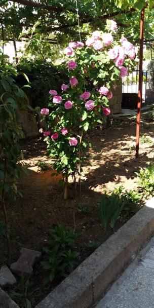 Apartment with Garden View - Photo 32