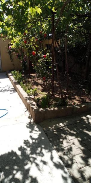 Apartment with Garden View - Photo 35