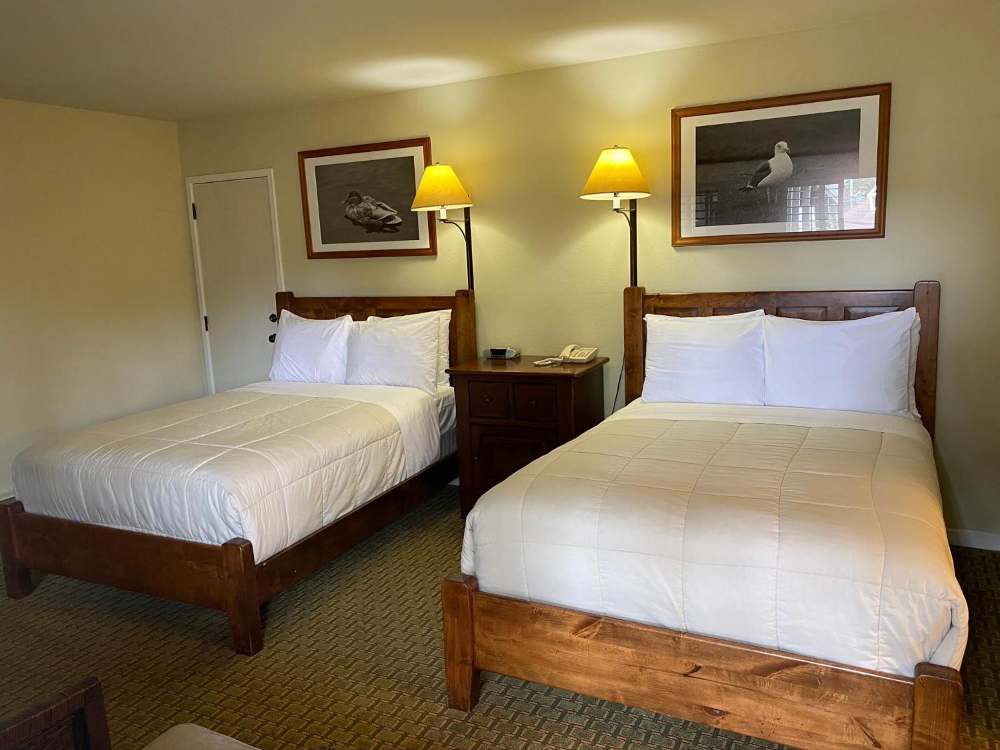 Room with Two Double Beds photo 1
