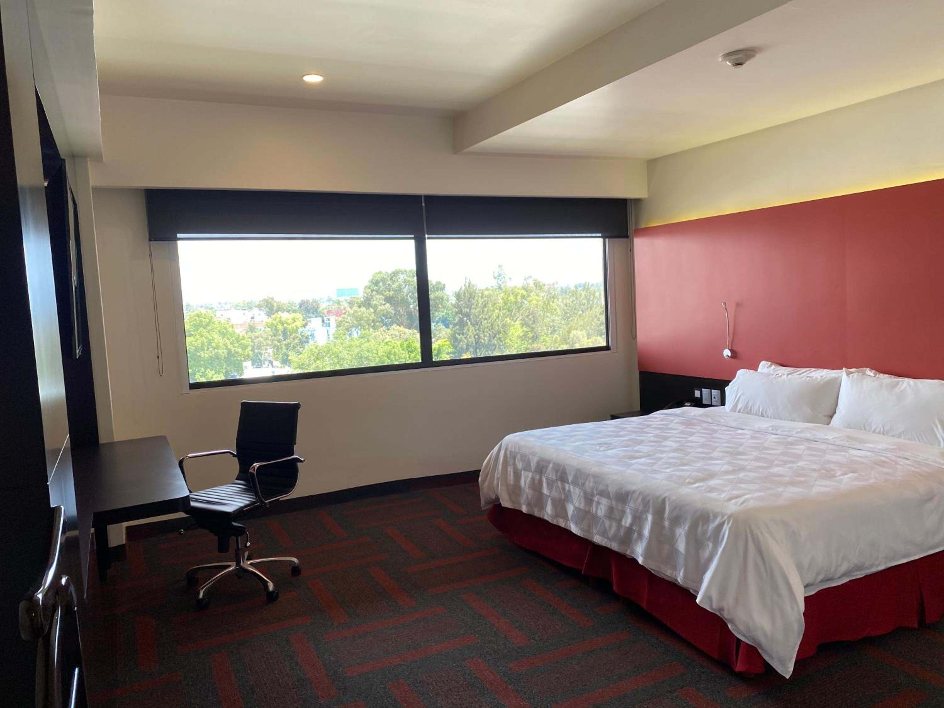 Standard King Room - Photo 4