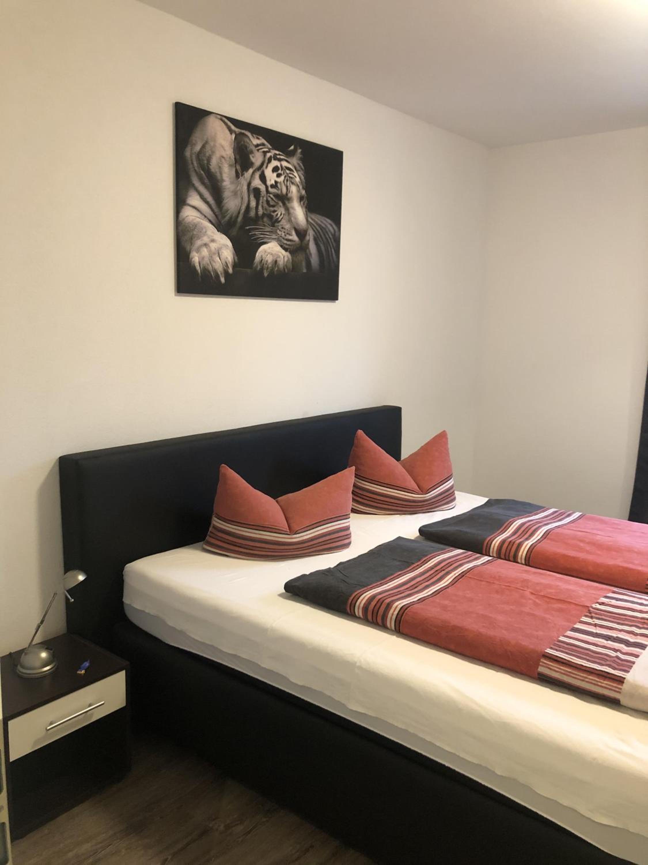 Apartment - Photo 4