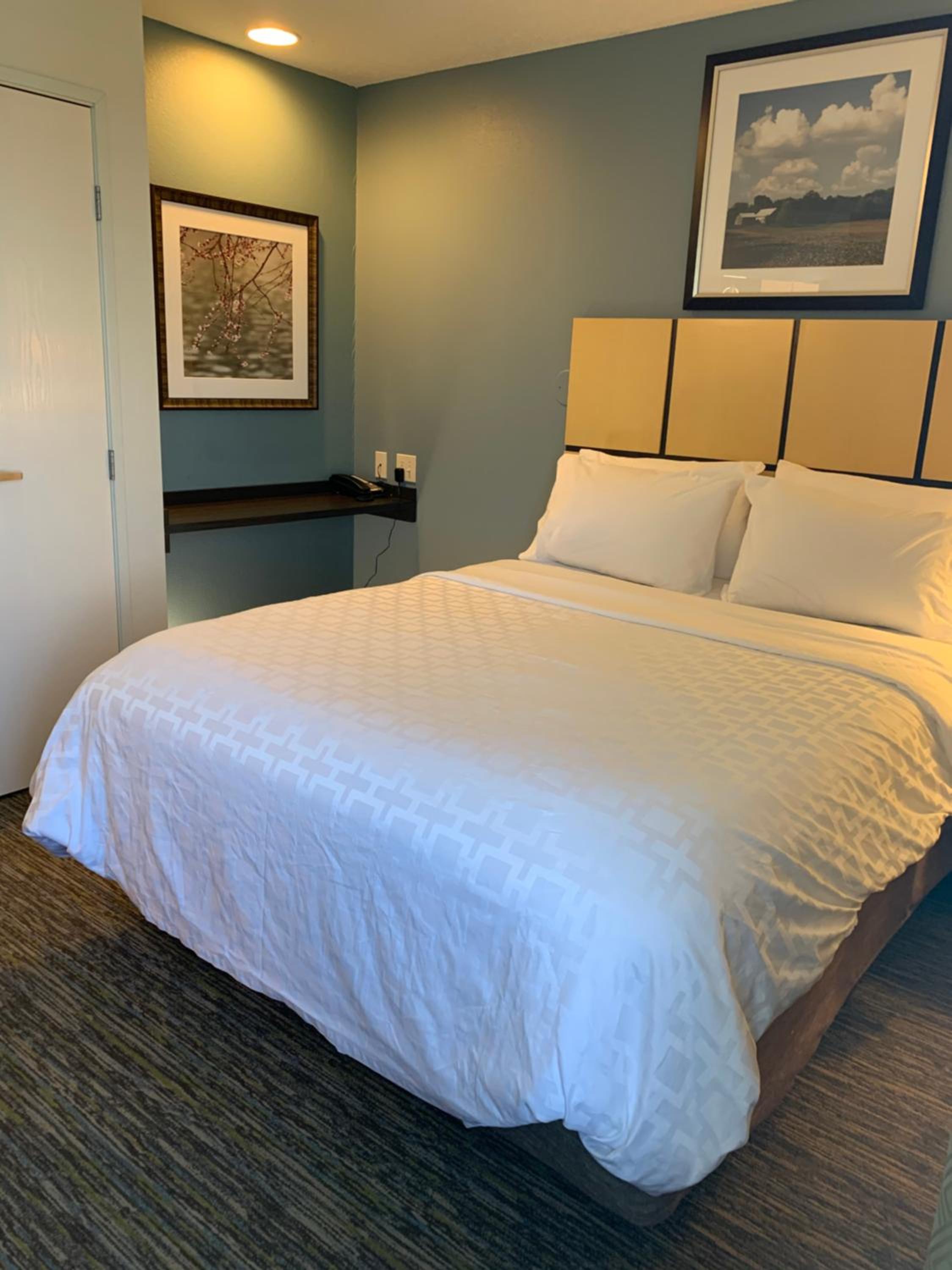One-Bedroom Suite - Photo 14