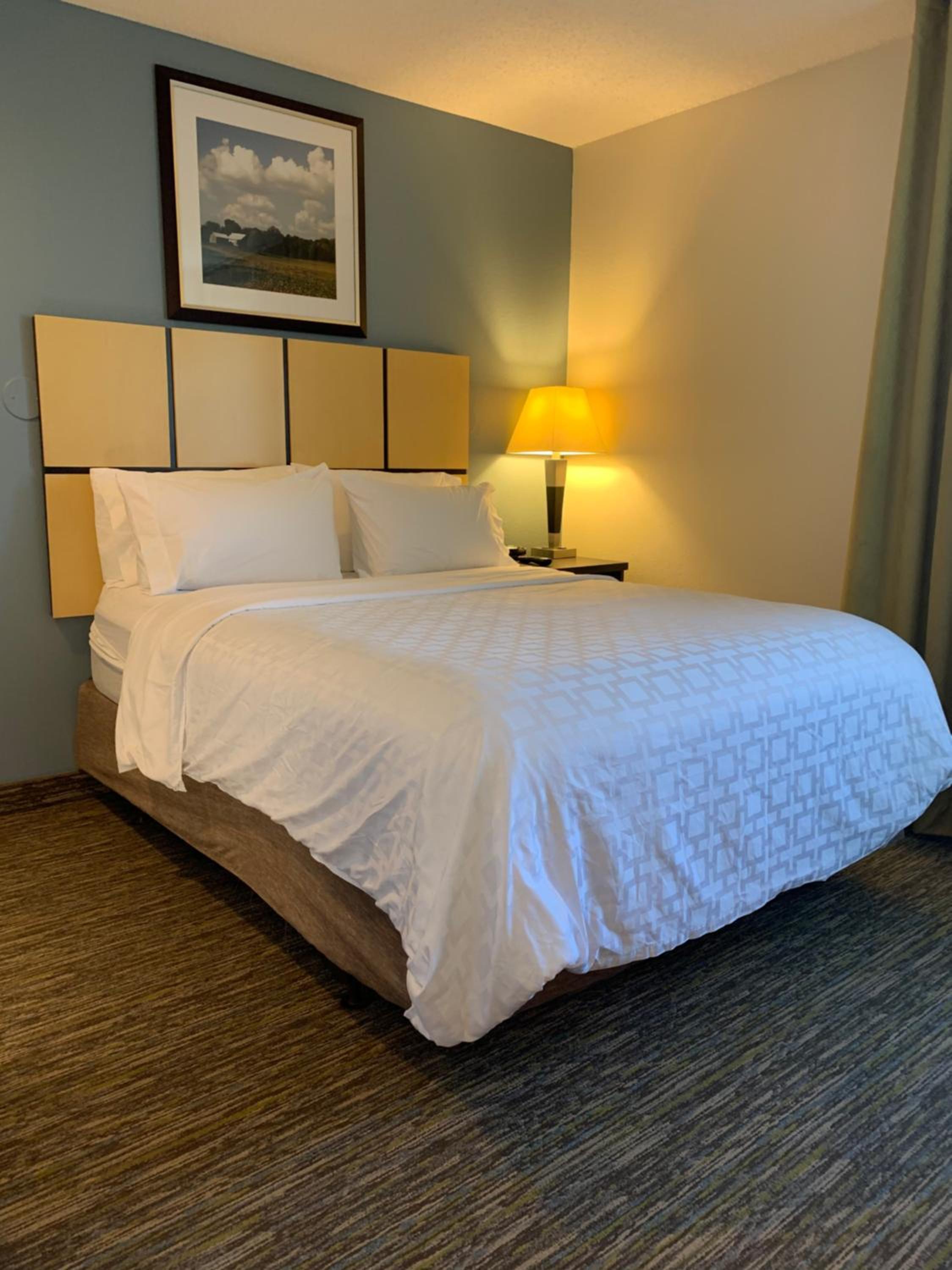 One-Bedroom Suite - Photo 12
