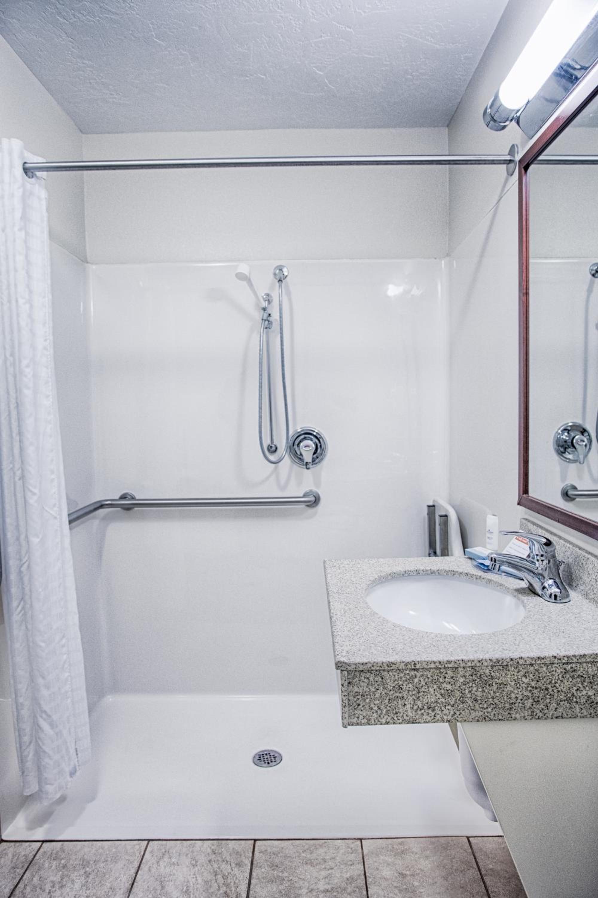 Queen Studio Suite - Mobility Access Roll in Shower/Non-Smoking - Photo 8