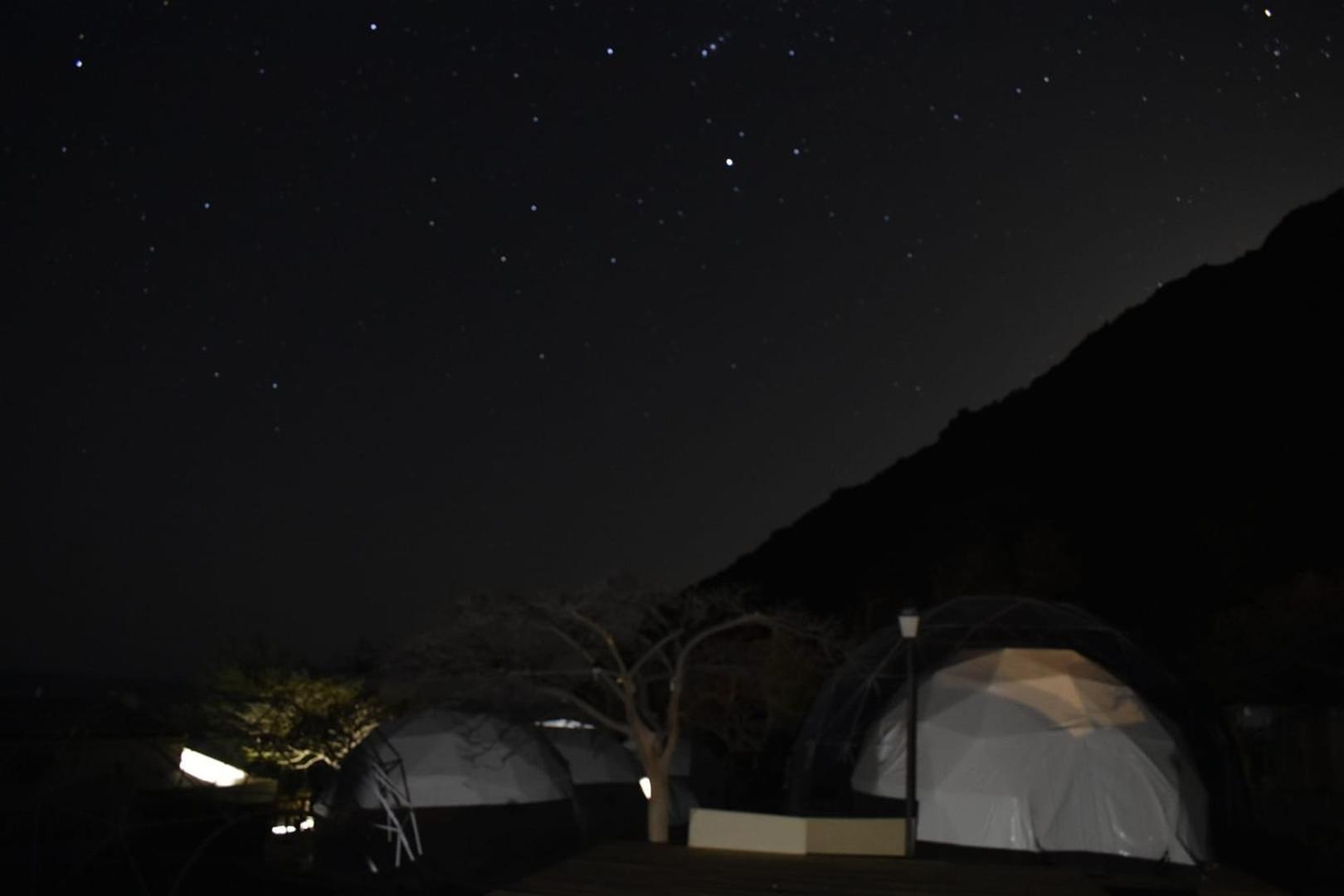 Dome Deluxe  - Photo 2