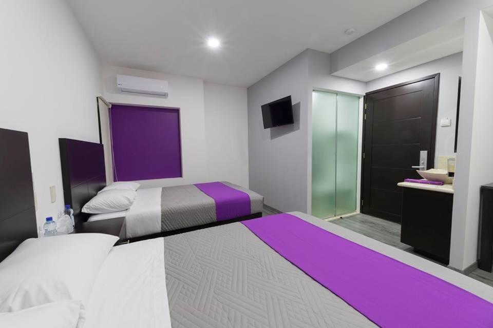 Twin Room photo 3