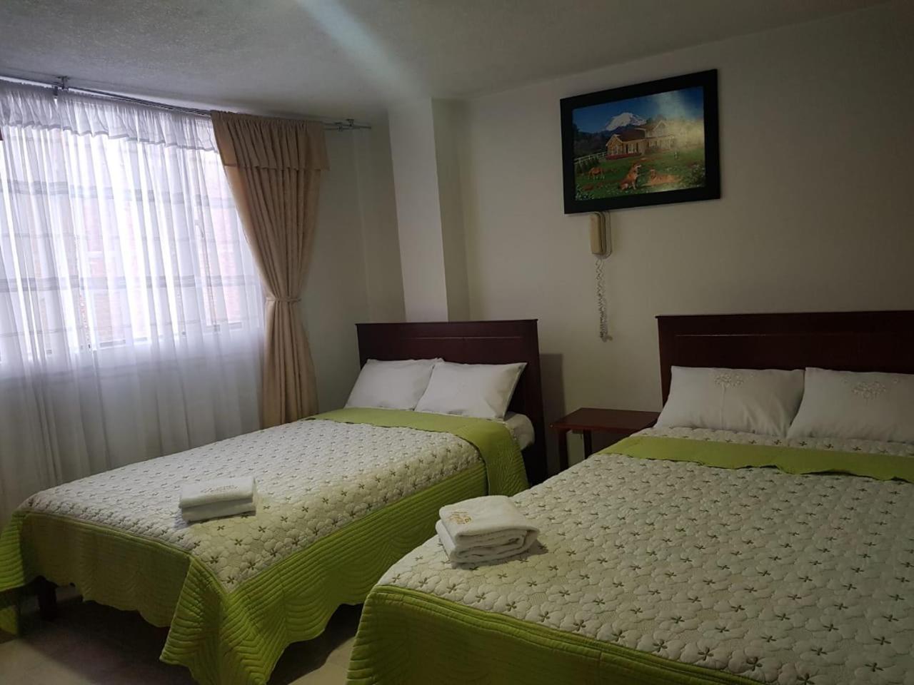 Double or Twin Room photo 3
