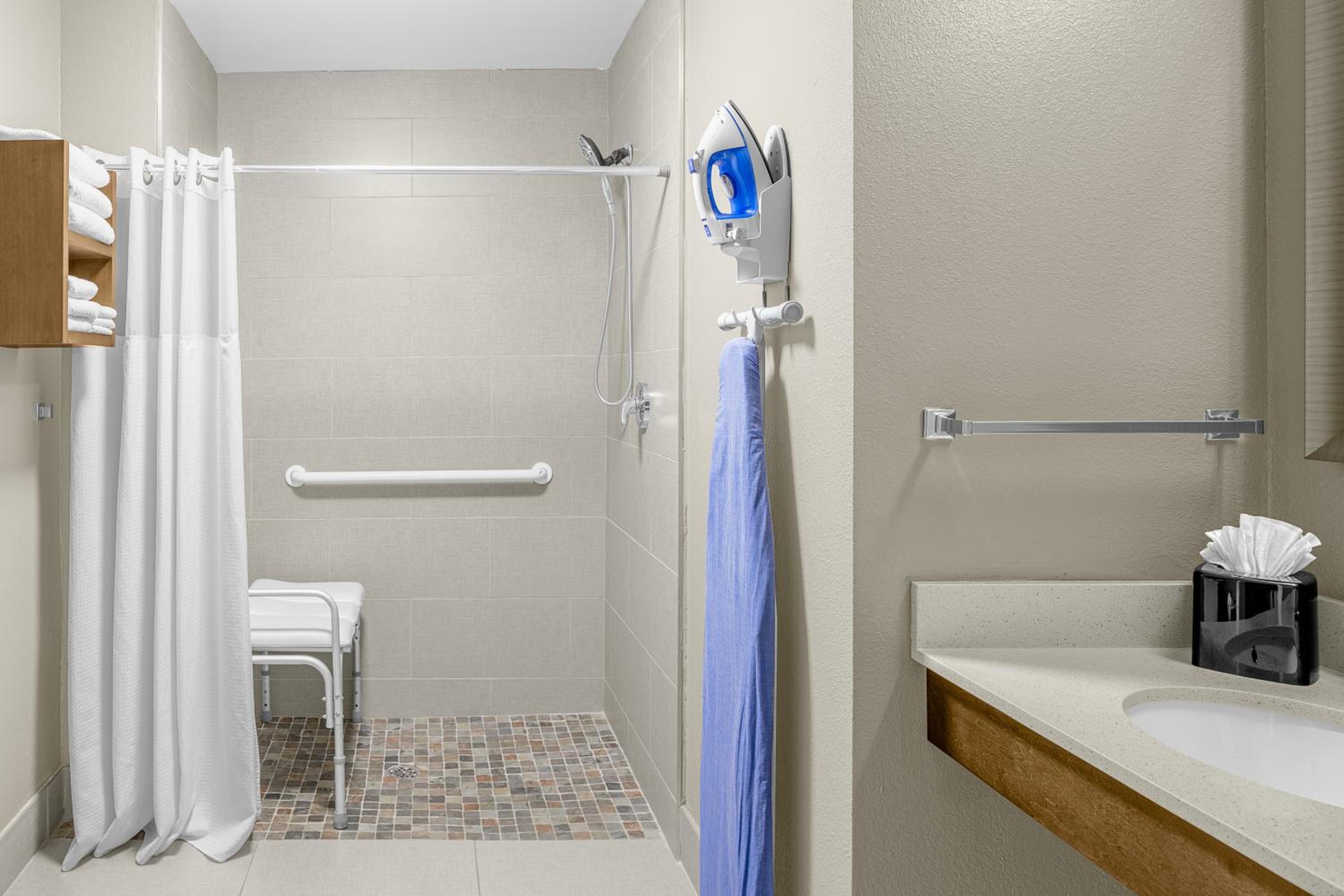 Queen Studio Suite - Mobility Access Roll in Shower/Non-Smoking - Photo 4