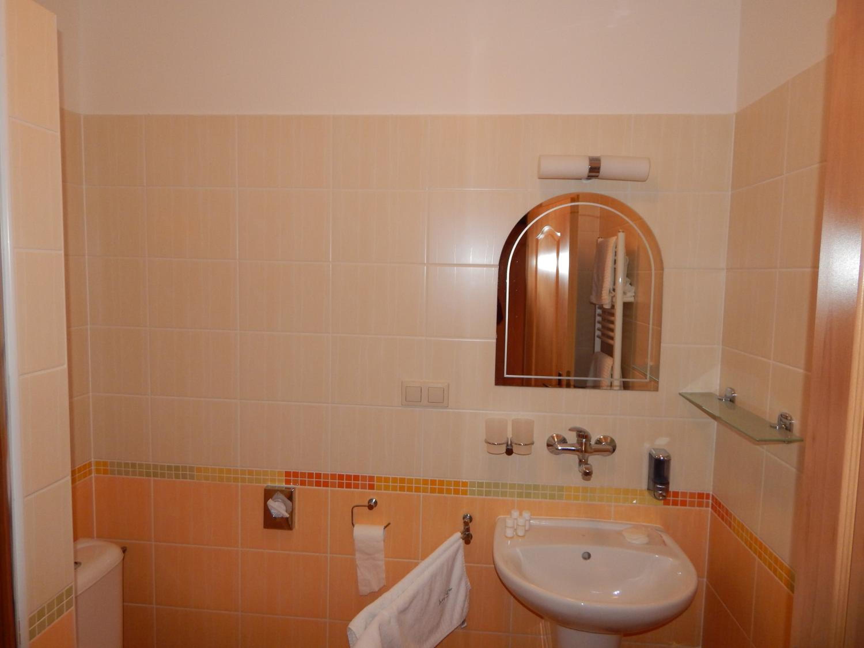 Single Room photo 2
