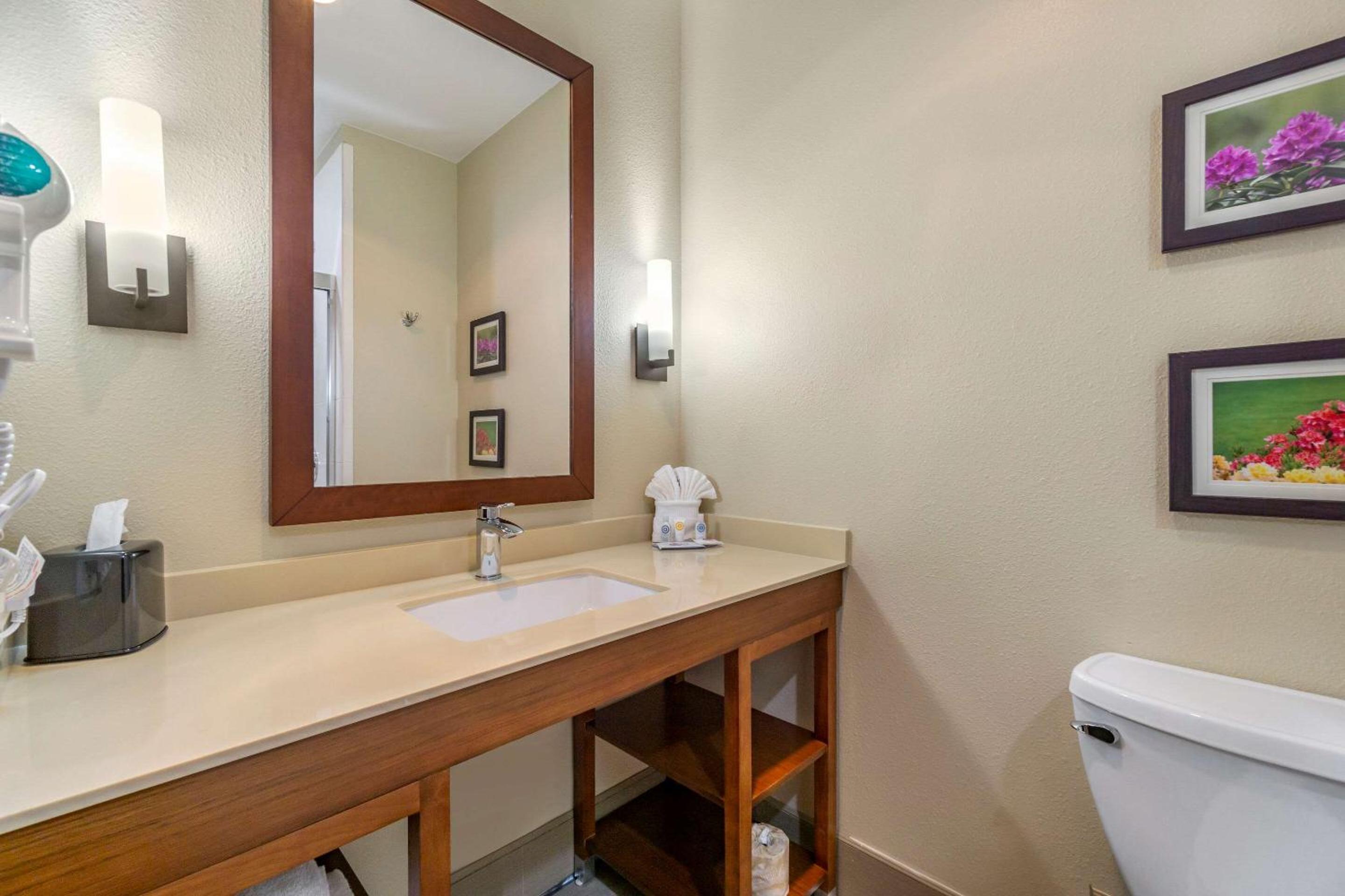 Standard King Room - Non-Smoking  - Photo 6