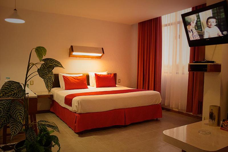 Superior Suite