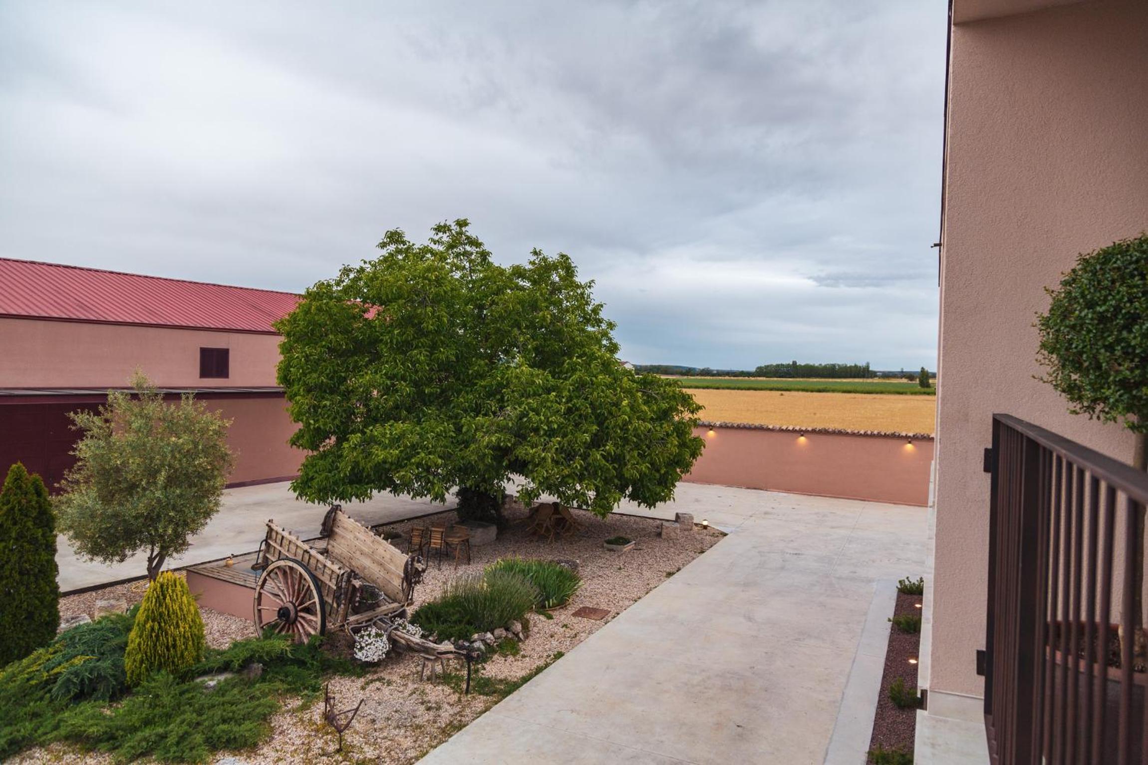 Double Room with Terrace - Photo 2
