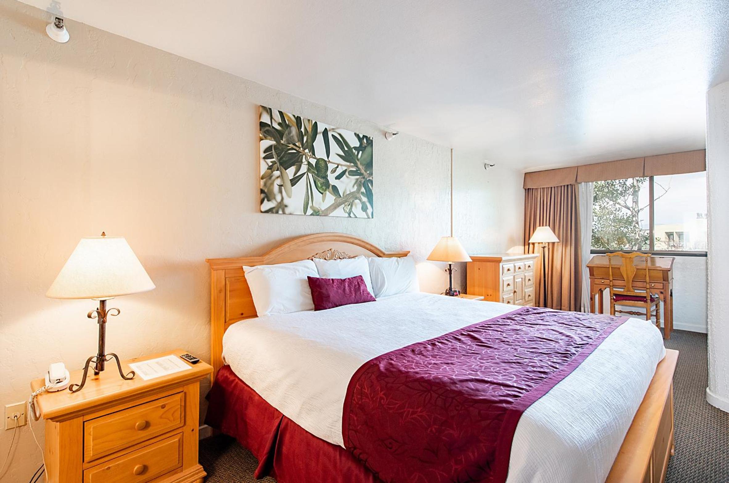 1 Bedroom Condominium  - Photo 18