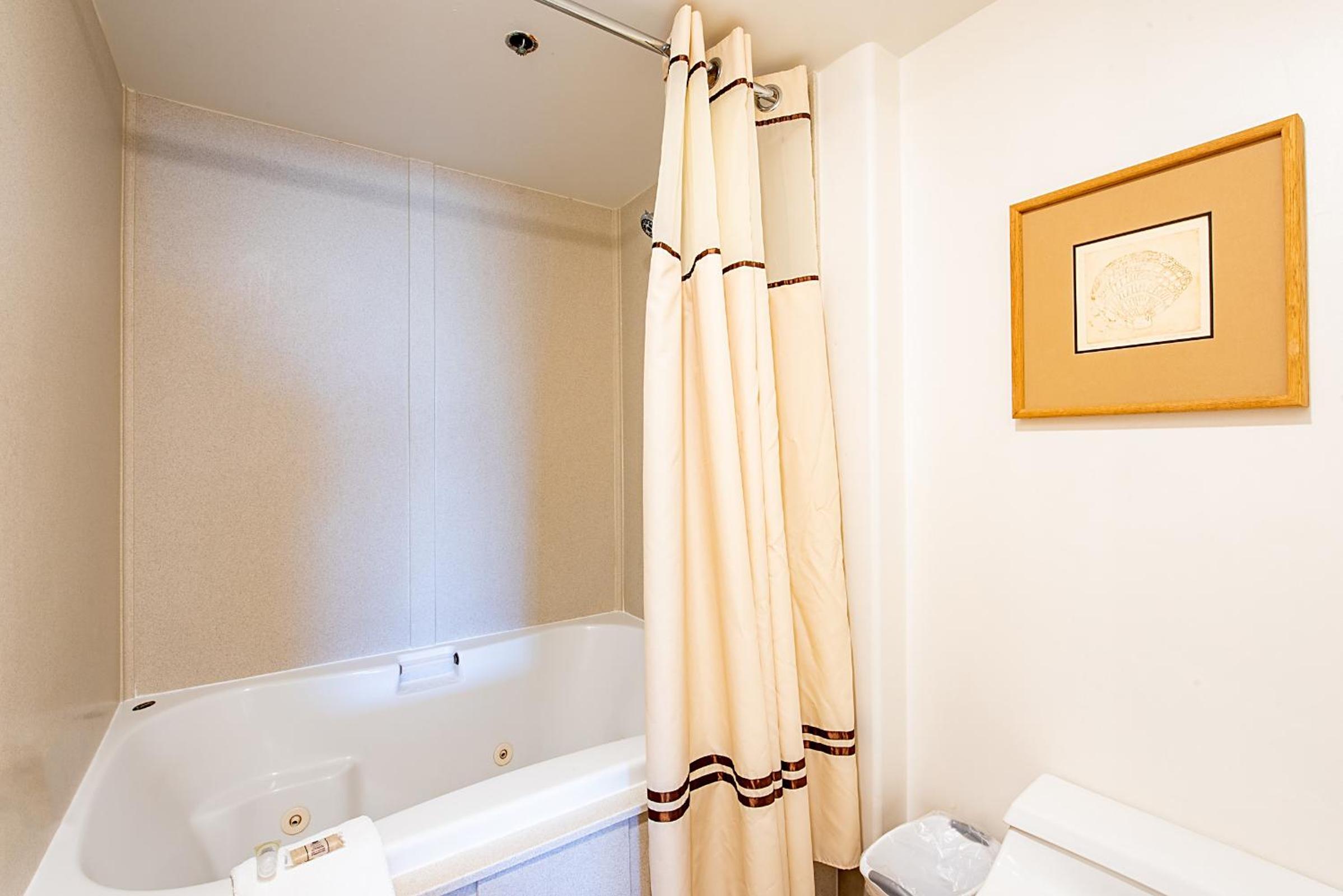 1 Bedroom Condominium  - Photo 19