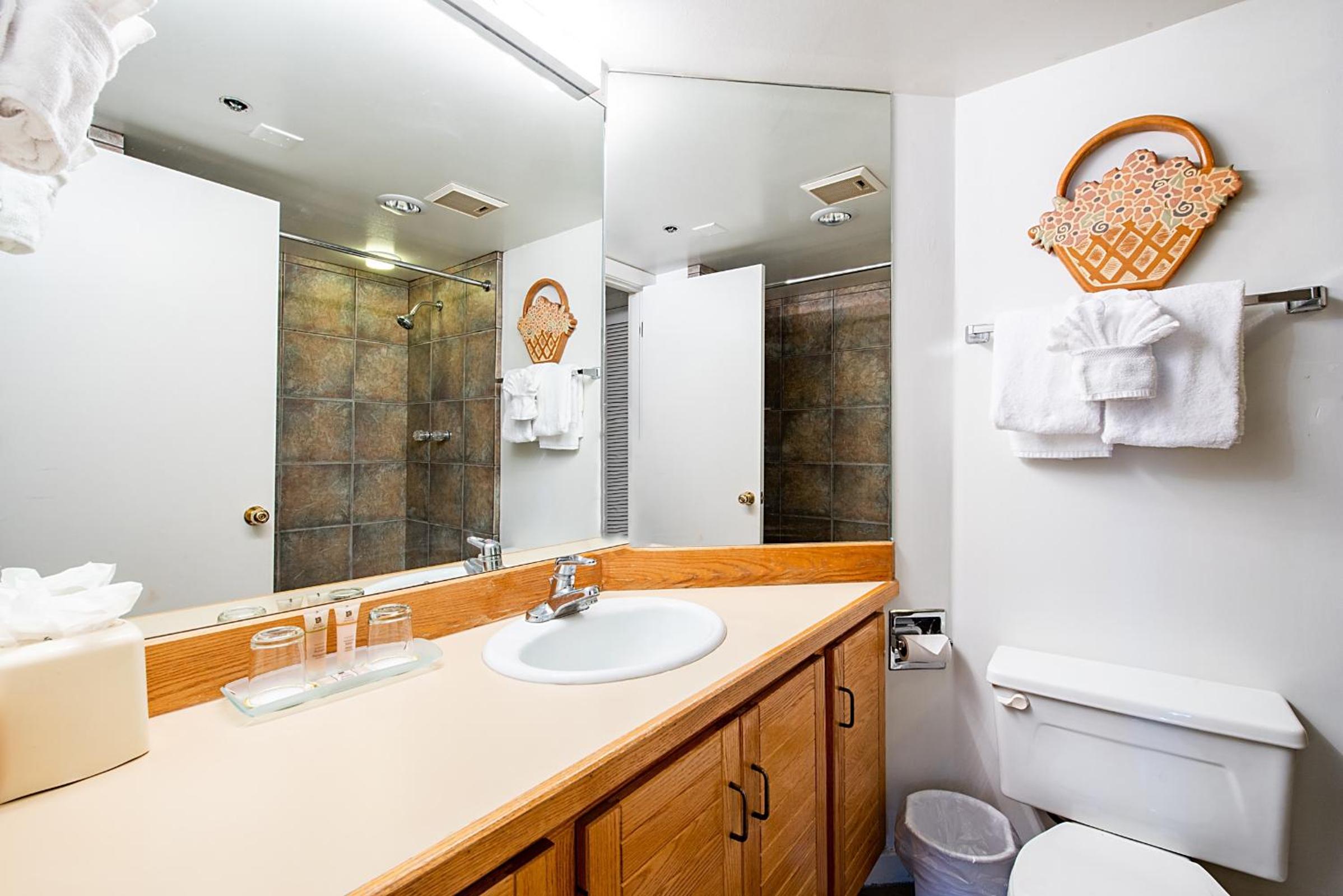 1 Bedroom Condominium  - Photo 5