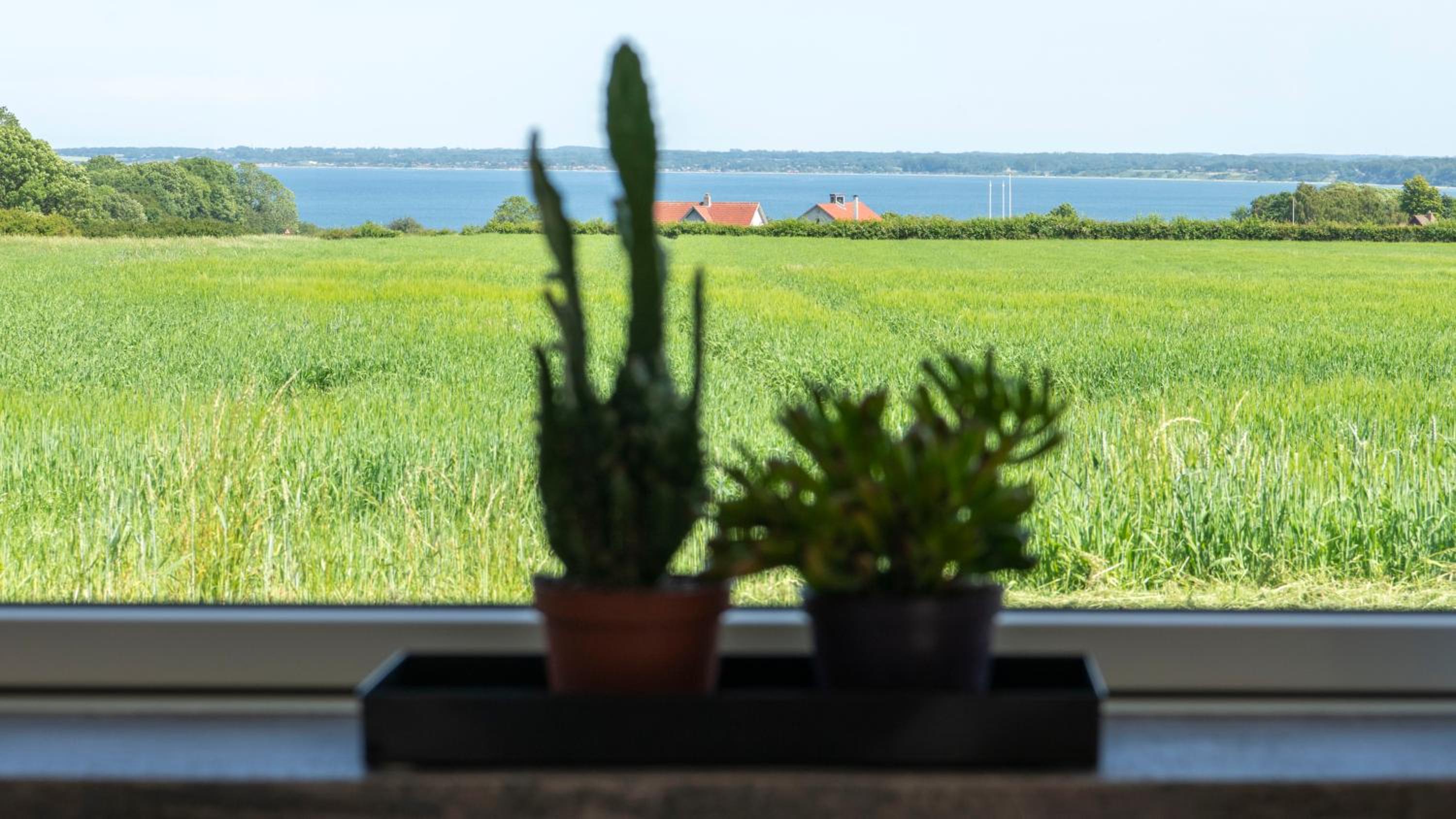 Studio Apartment with Sea View photo 3