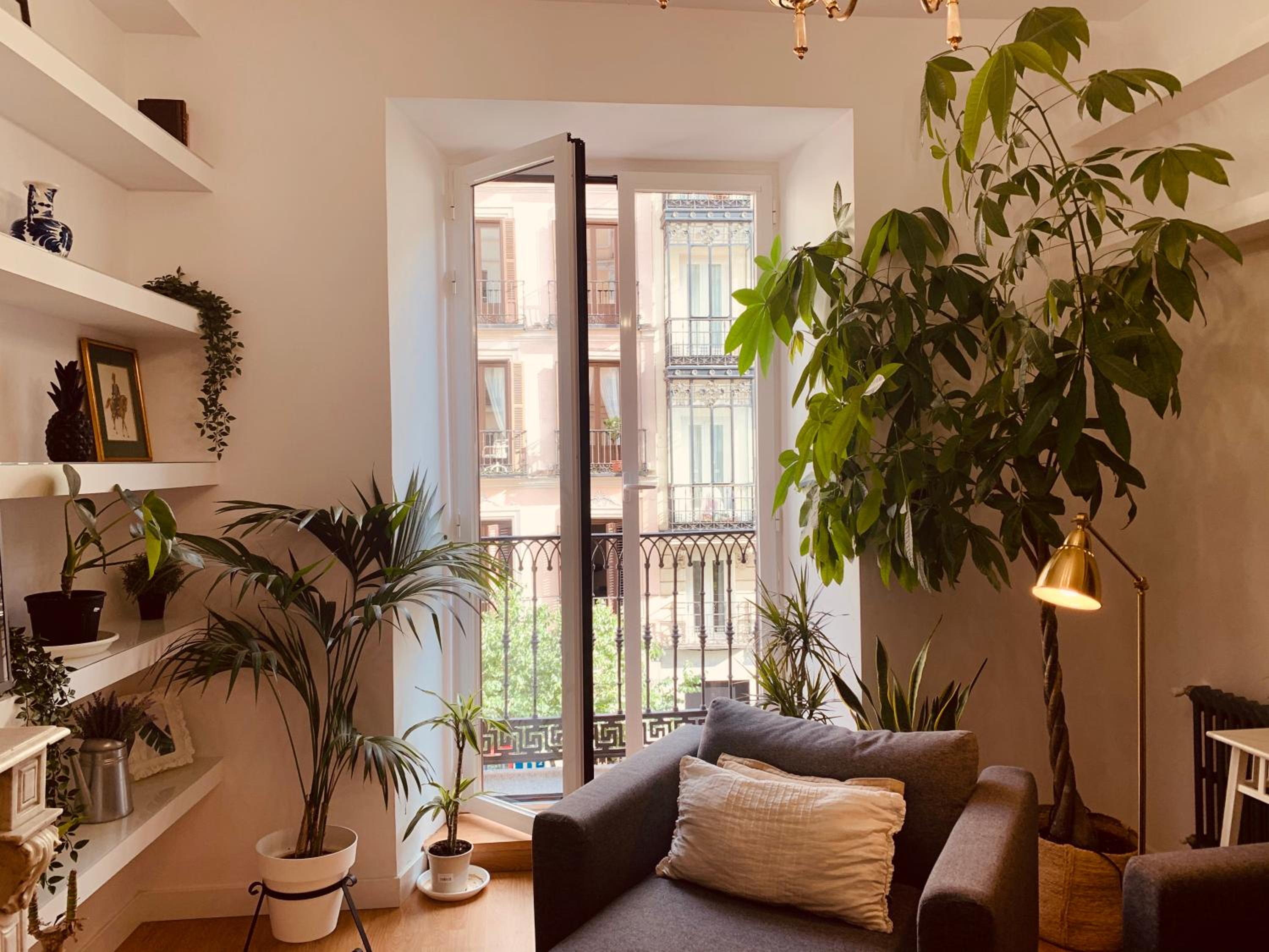 Apartment with Balcony photo 3