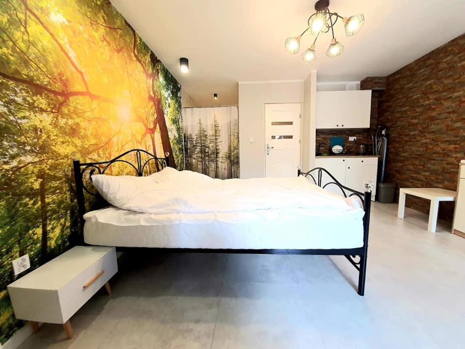 Studio Apartment - Photo 4