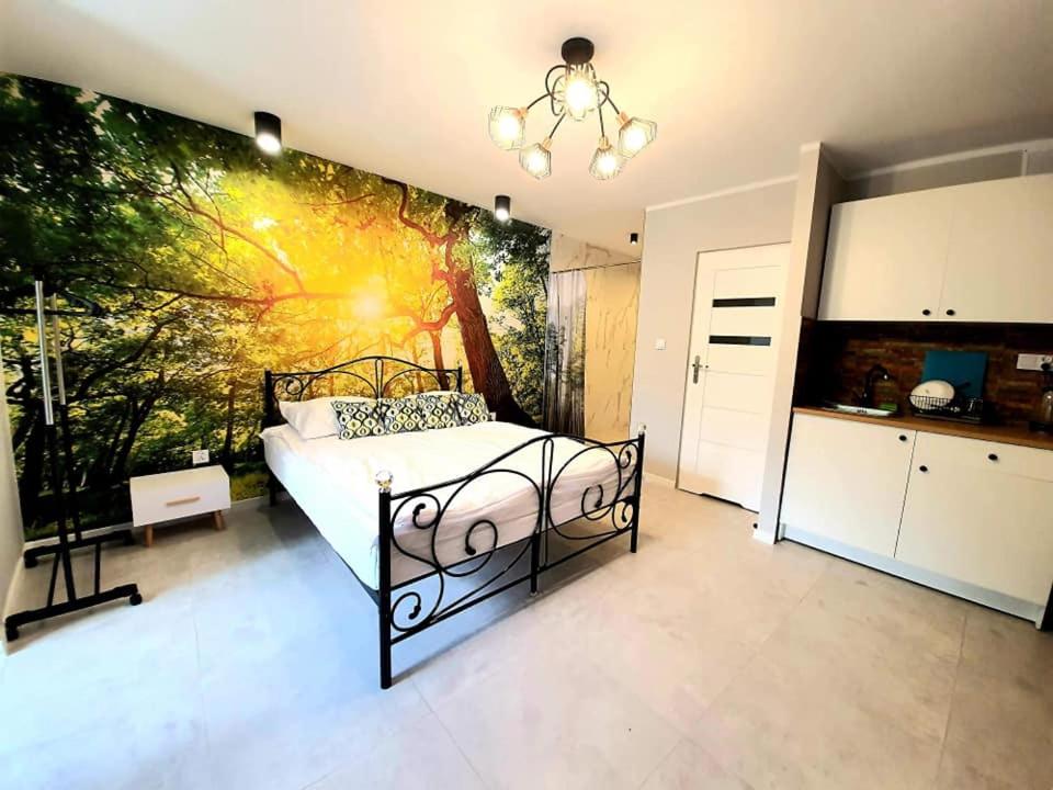 Studio Apartment - Photo 1