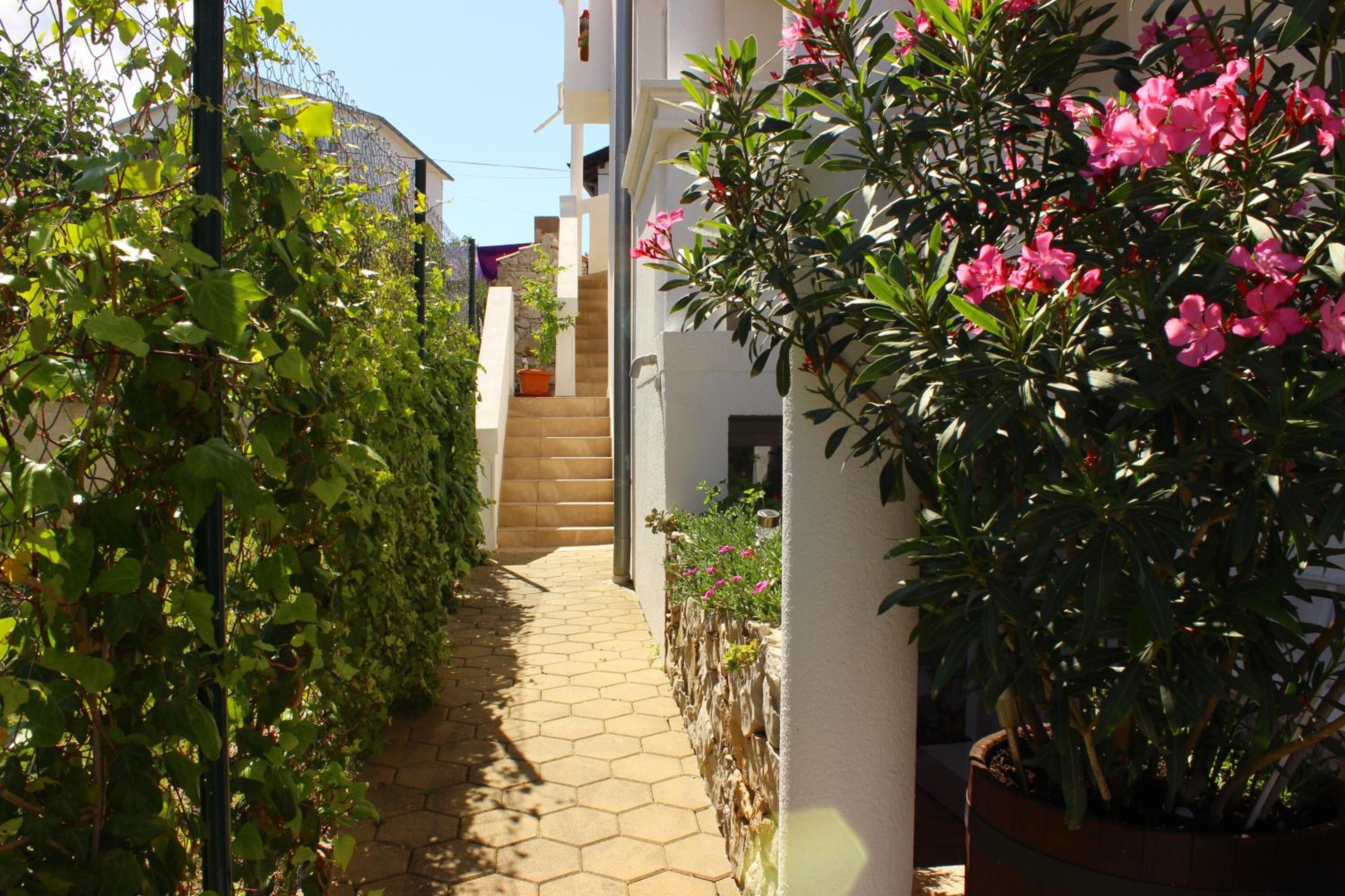 Studio with Terrace - Photo 4