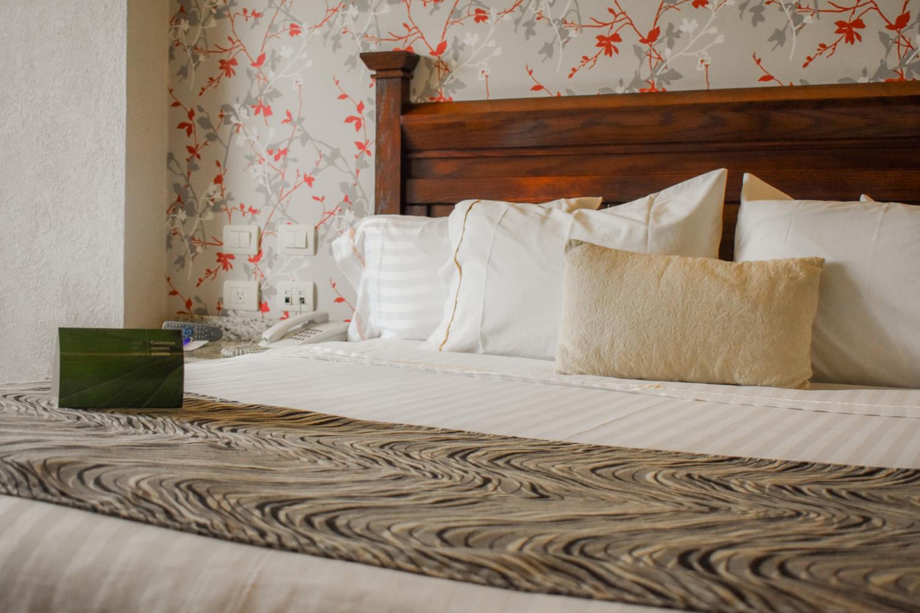 Standard  Room - Photo 2