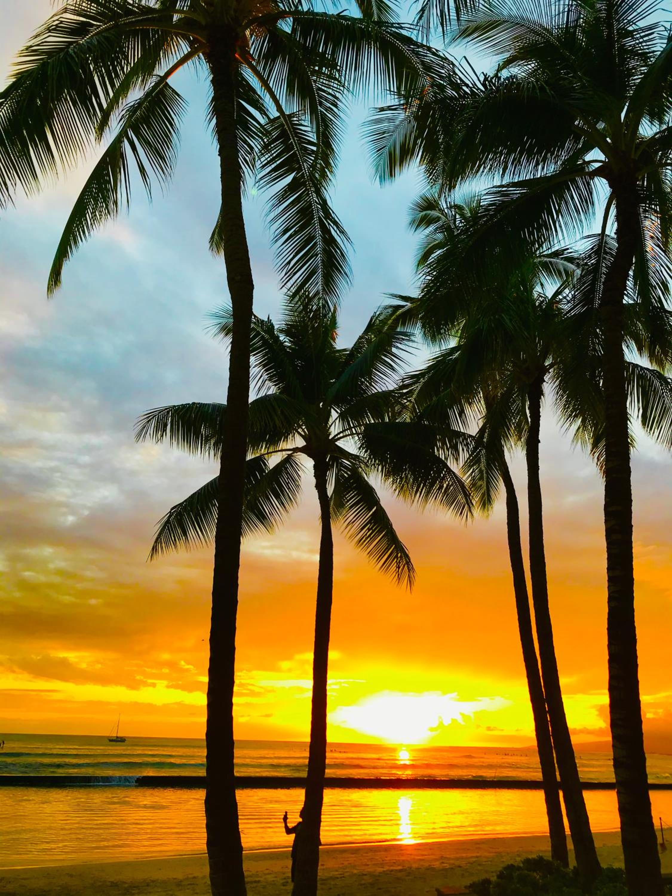 WAIKIKI 2 BEDROOMS, 1 BATH, FREE PARKING, SLEEP 6: Apartment with Pool View photo