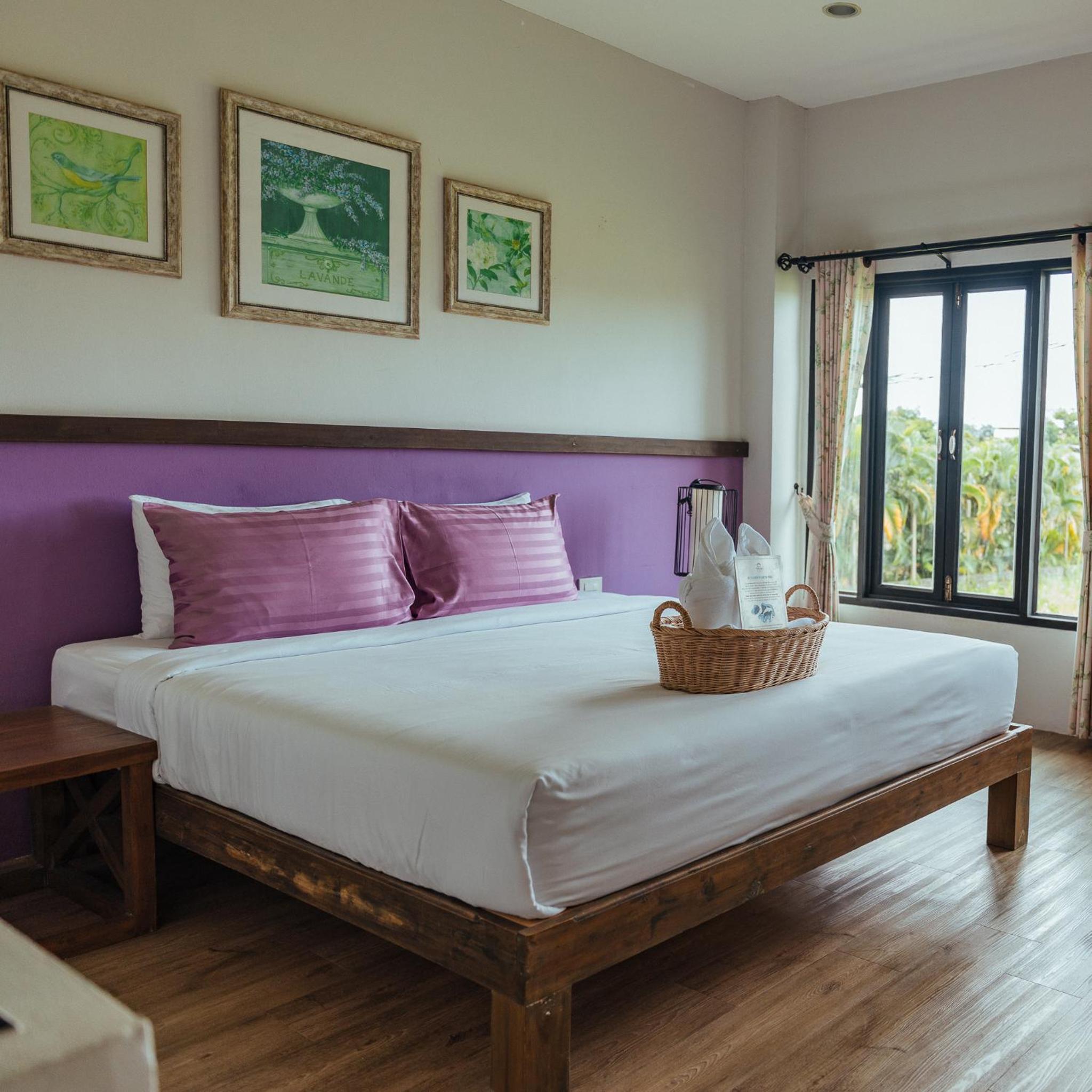 Suite - Photo 13
