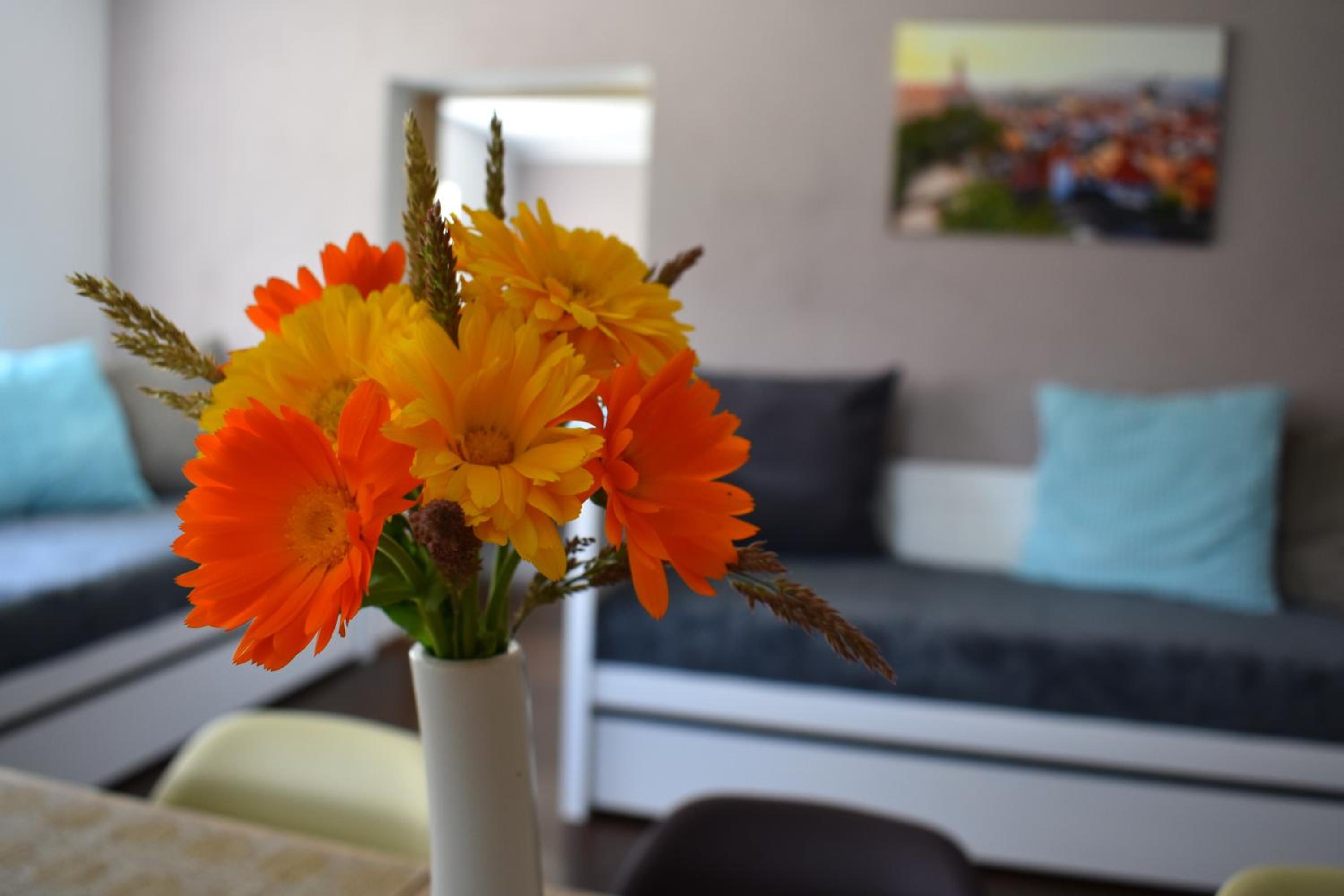 Apartment - Ground Floor - Photo 17