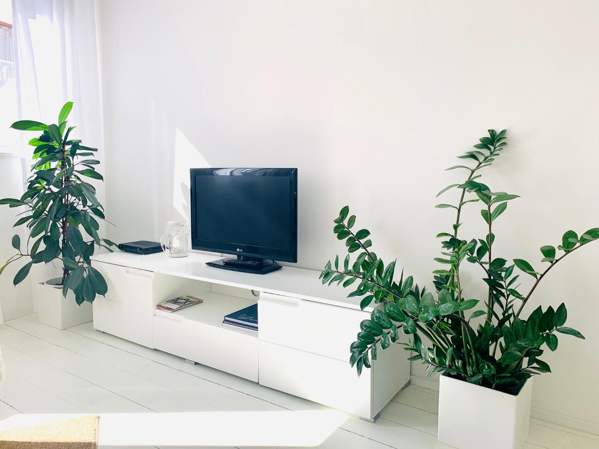One-Bedroom Apartment photo 3