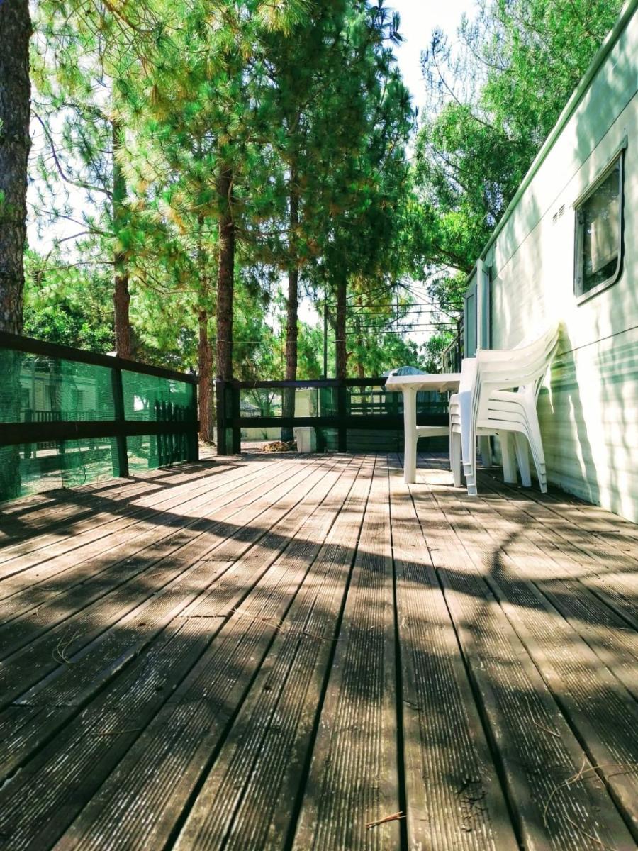 Mobile Home photo 1
