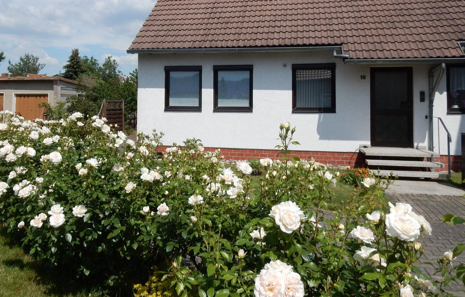 One-Bedroom Apartment with Garden View photo 3