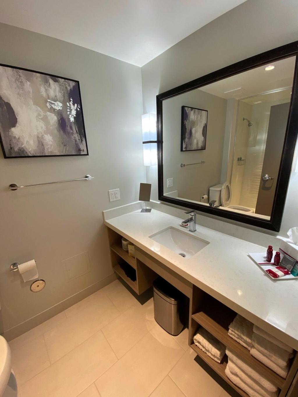King Suite with Kitchen - Photo 7