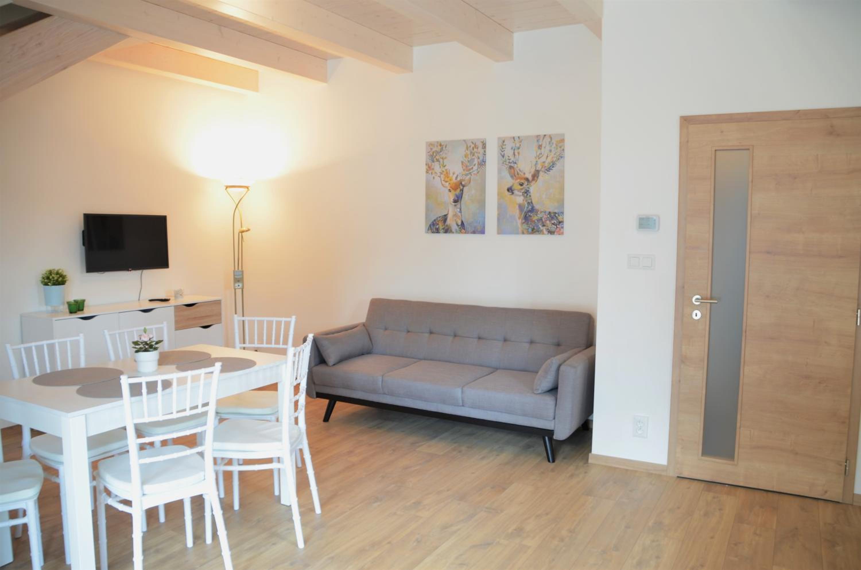 Deluxe Apartment