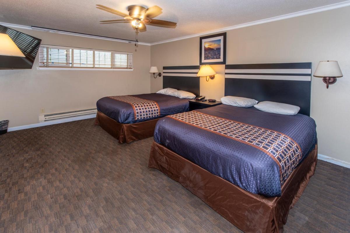 Suite photo 2