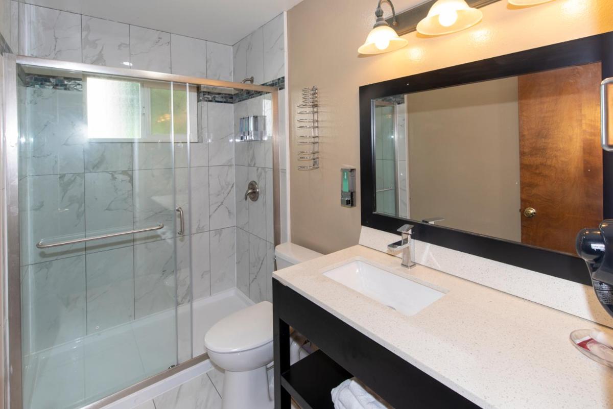 Suite photo 3