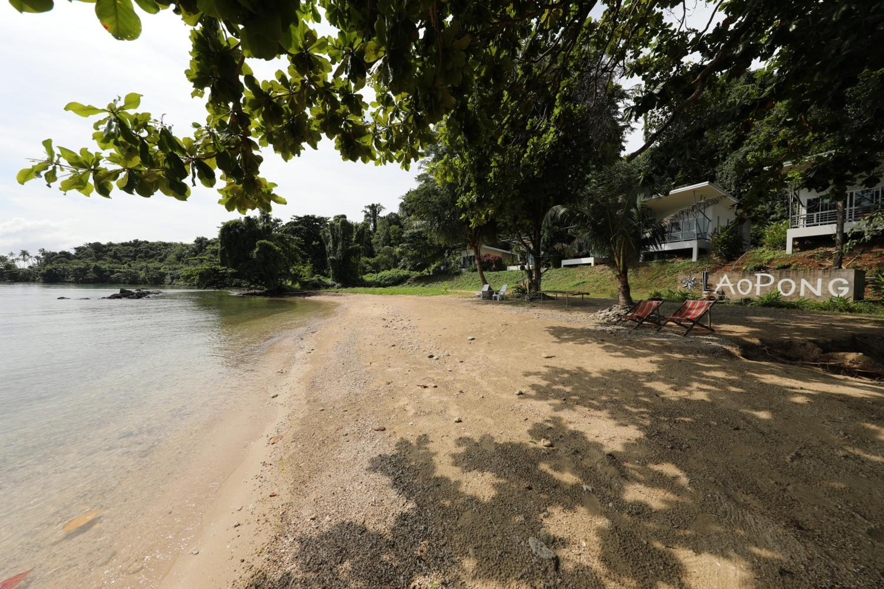Deluxe Seaview Bungalow photo 3