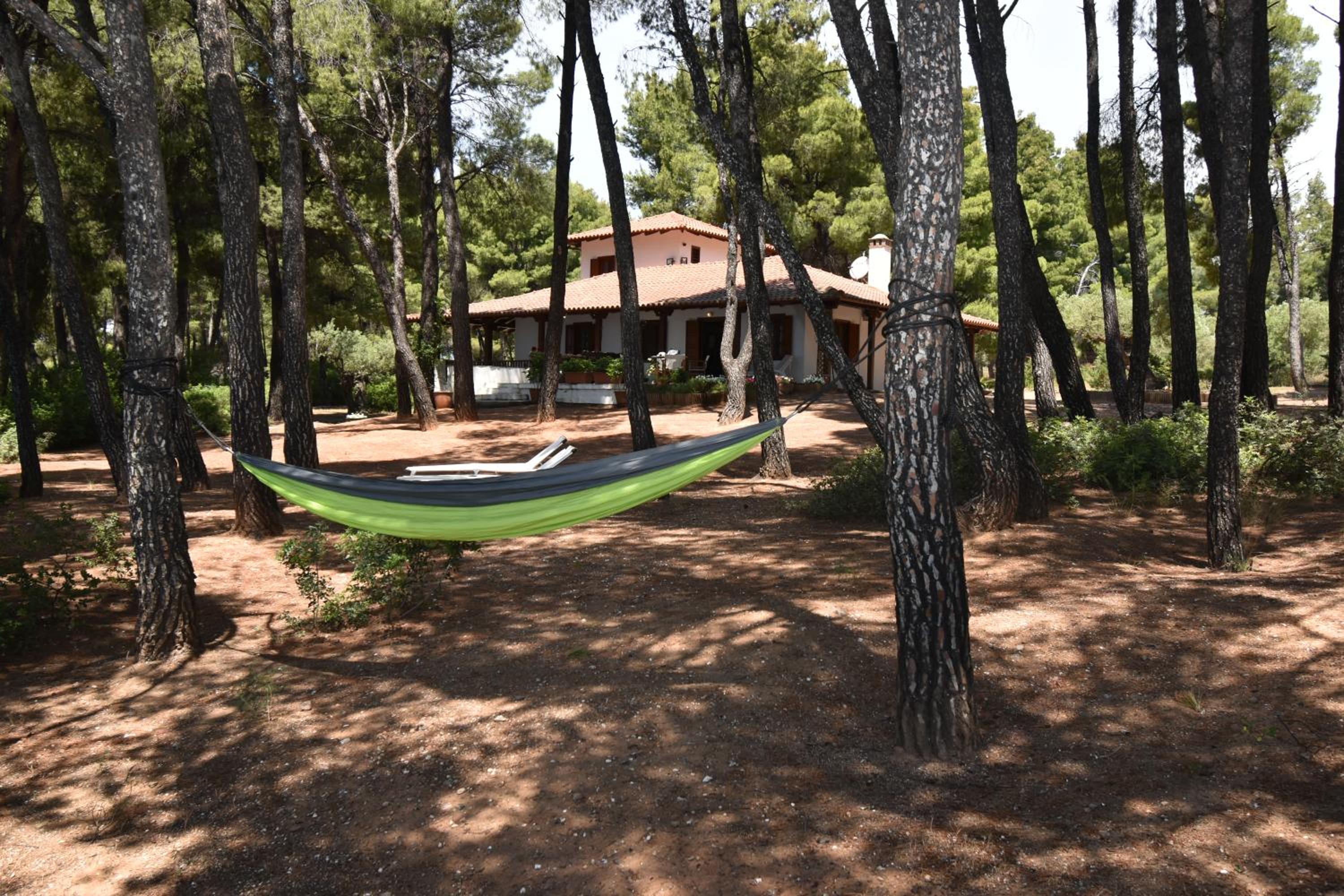 Four-Bedroom Vacation Home photo 3