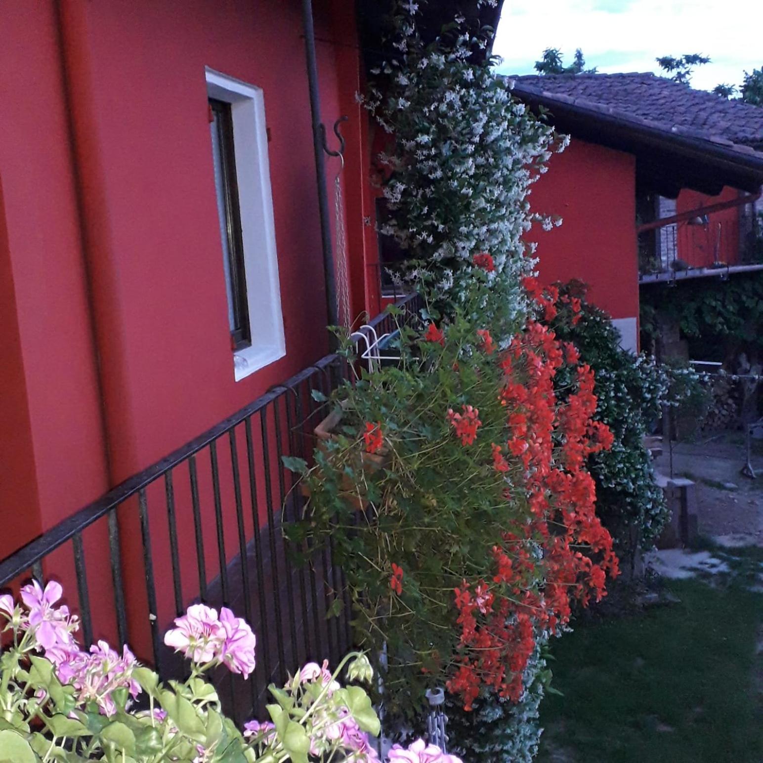 Double Room with Garden View photo 2