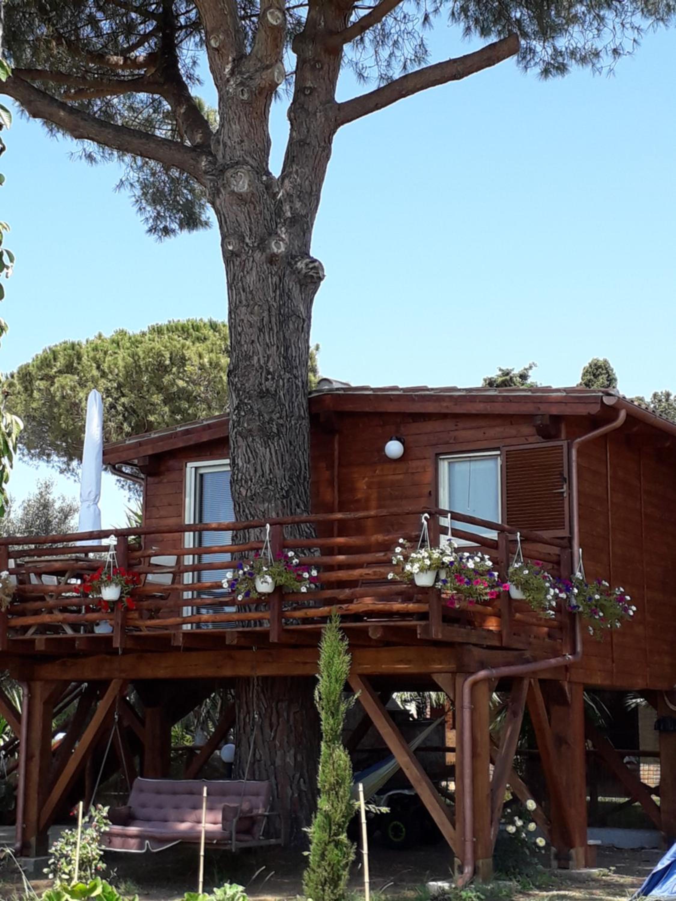 Tree House photo 2
