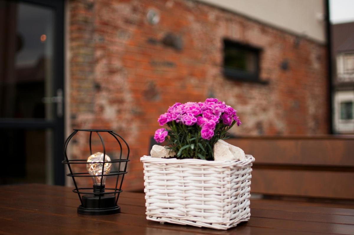 Apartment with Terrace