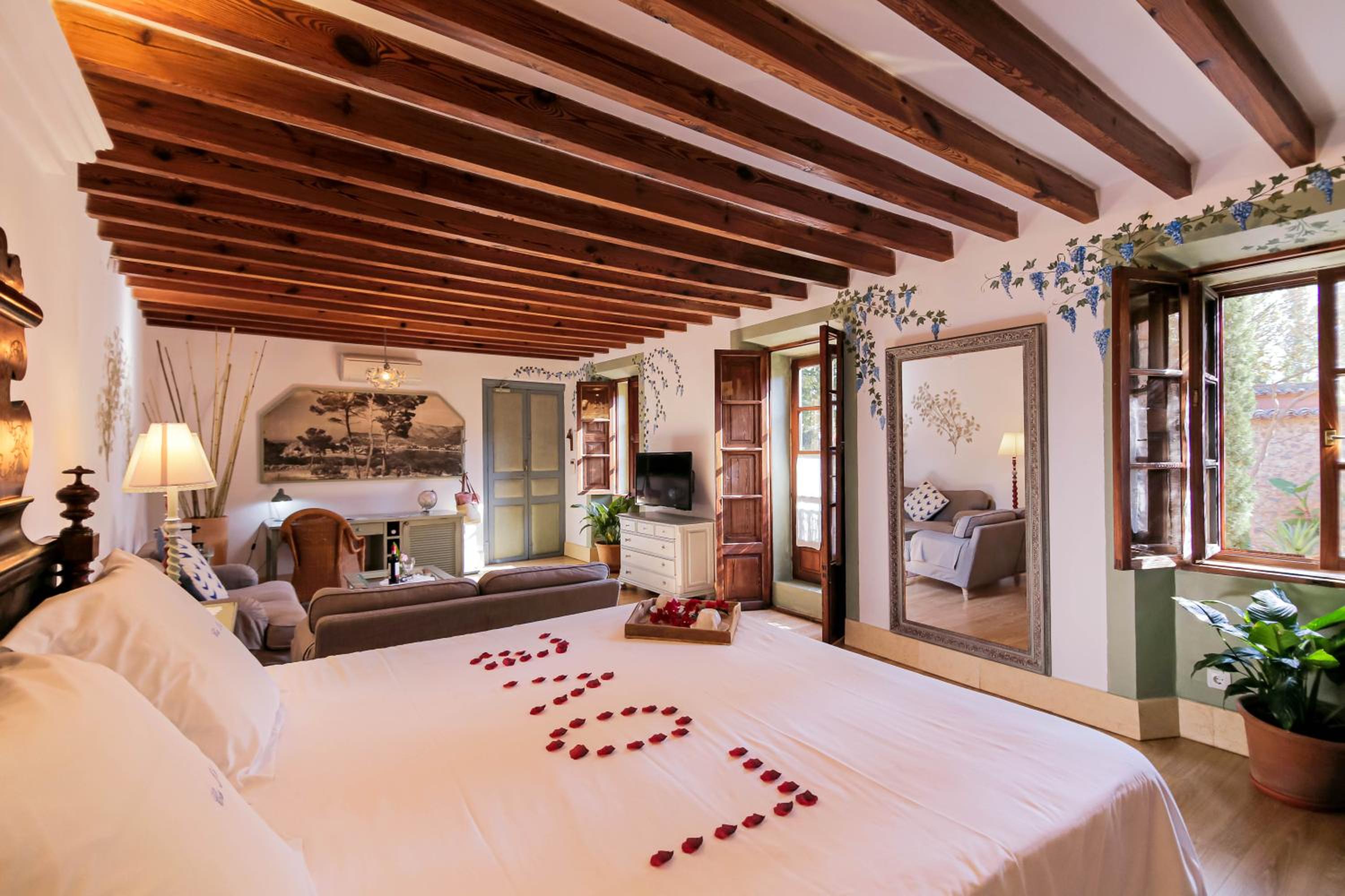Suite Junior con Terraza