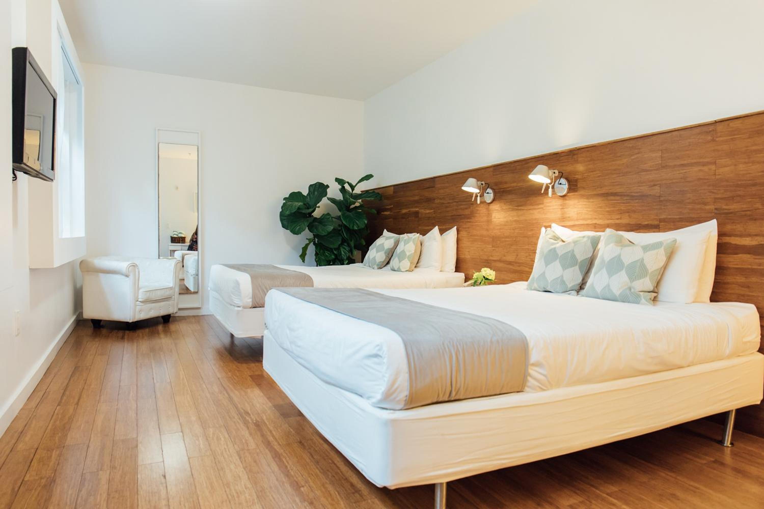 Deluxe Double, Two Queen Beds - Photo 1