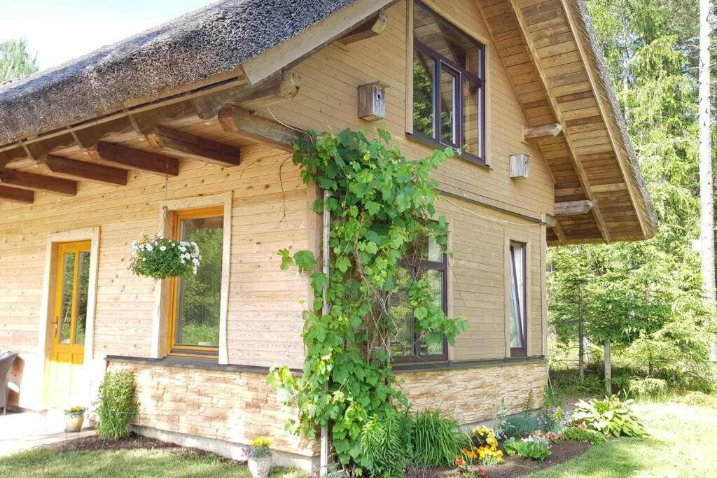 Three-Bedroom House - Forest  - Photo 2