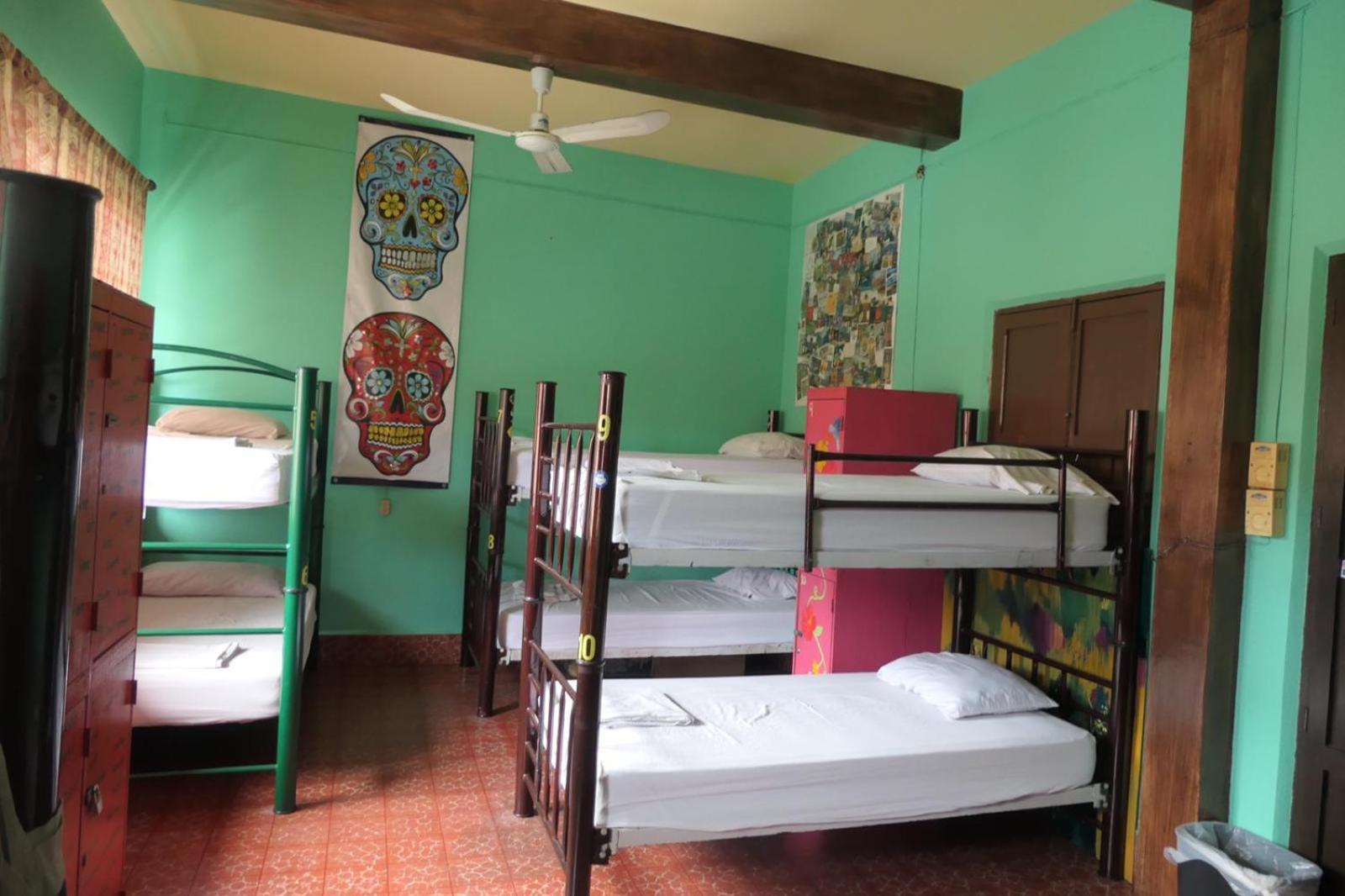Single Bed in Female Dormitory Room photo 1