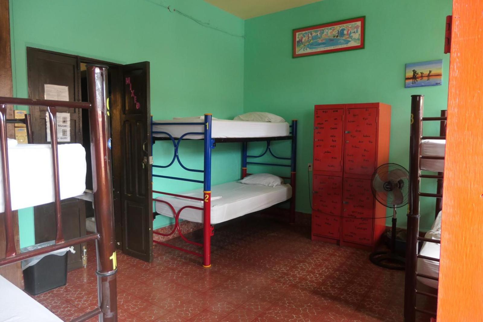 Single Bed in Female Dormitory Room photo 2